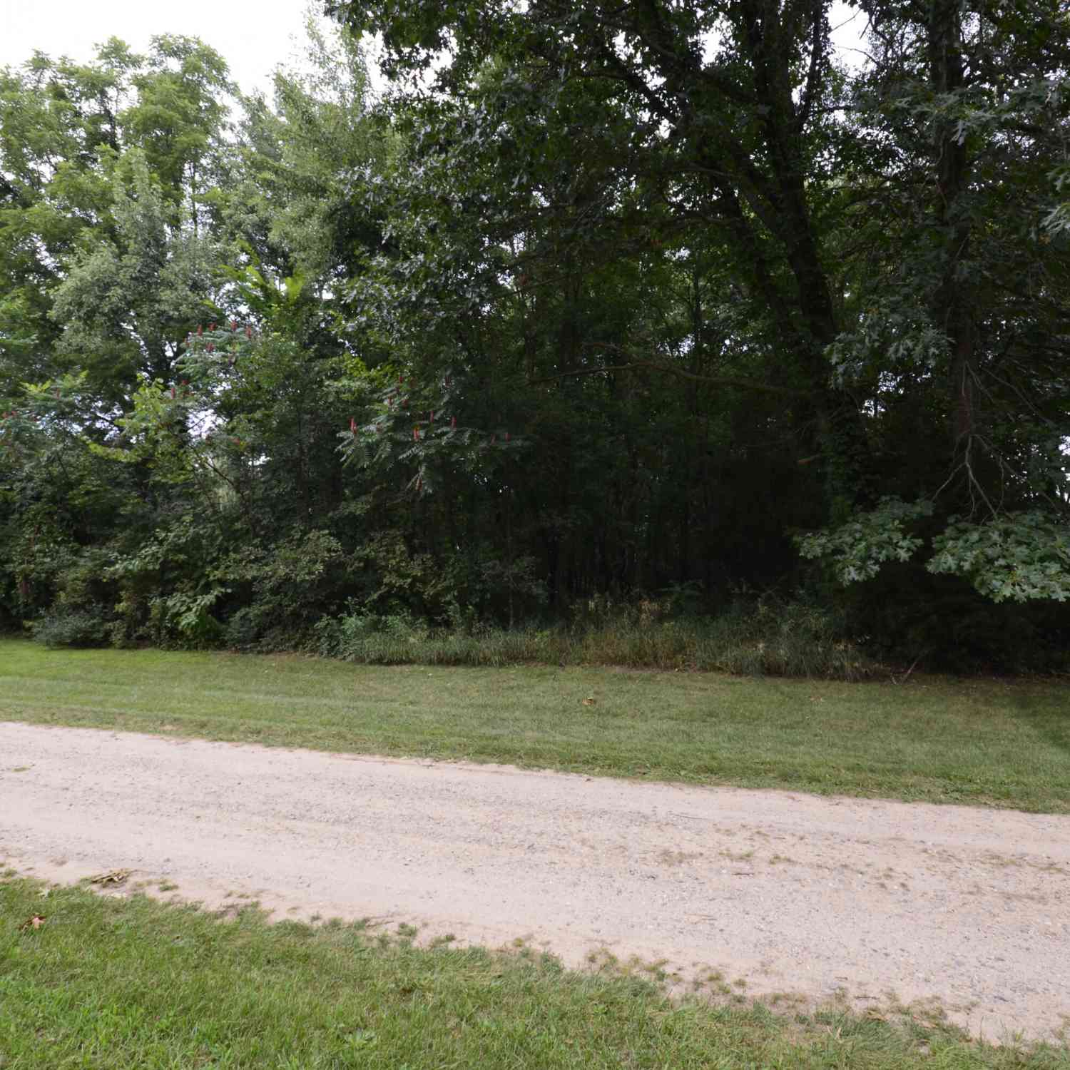 Vacant Land For Sale - V/L Silverstone Drive<br/> Three Rivers, MI 49093