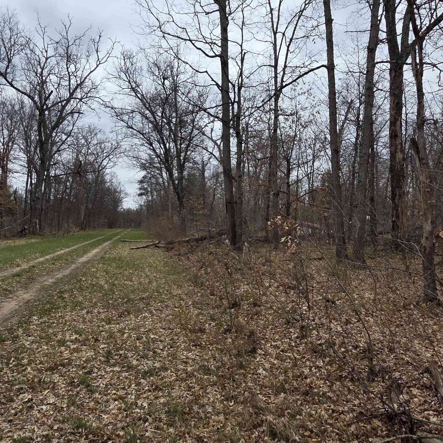Vacant Land For Sale - V/L W Mead Street<br/> Lake County, Baldwin, MI 49304