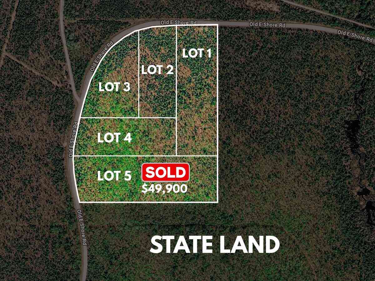 Vacant Land For Sale - LOT 1 E Shore Road<br/> Ontonagon County, Bergland, MI 49910