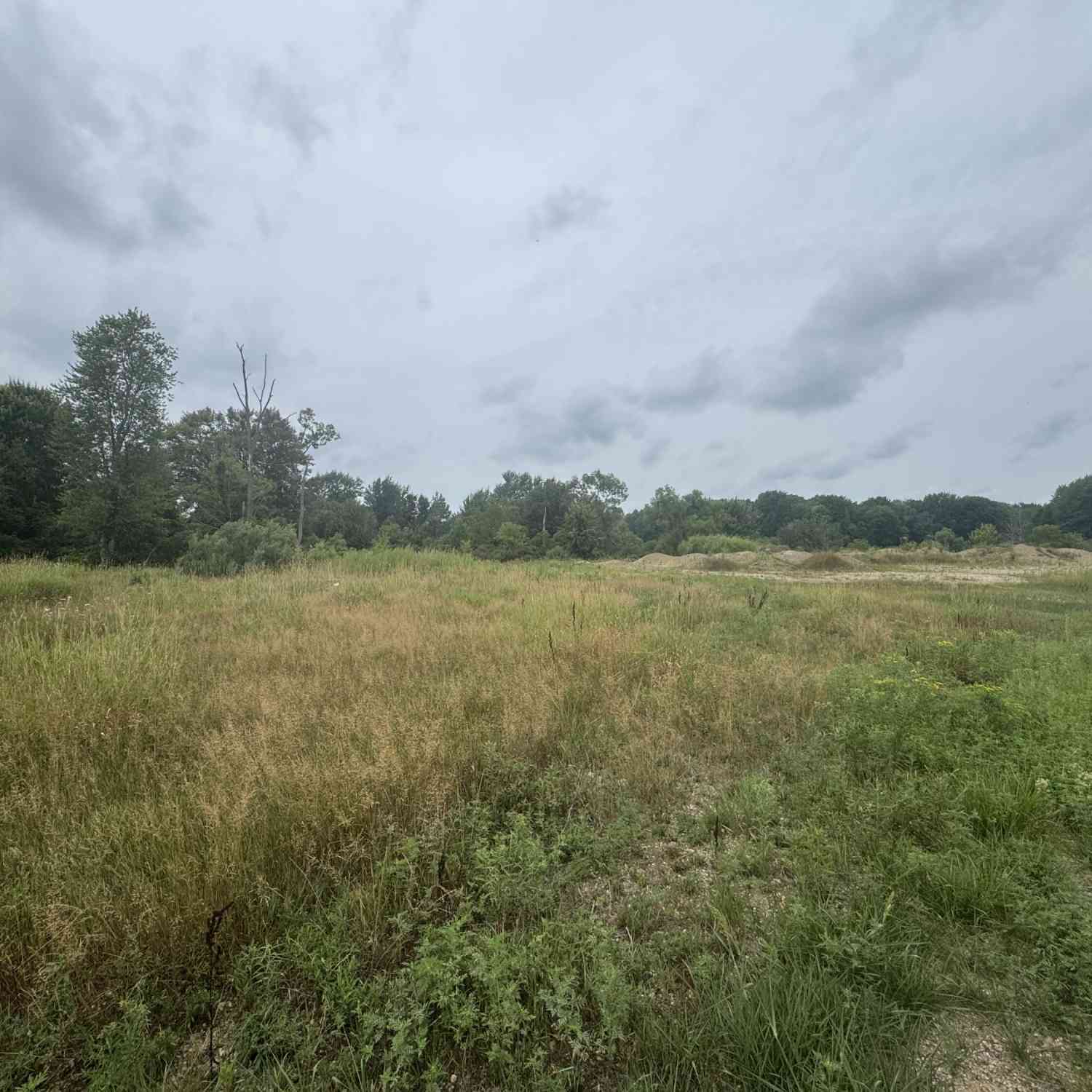 Vacant Land For Sale - S M-43<br/> Barry County, Delton, MI 49046