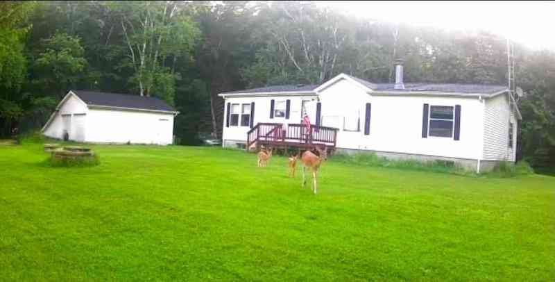 Mobile Home For Sale - 5800 Brining Road<br/> Huron County, Port Hope, MI 48468