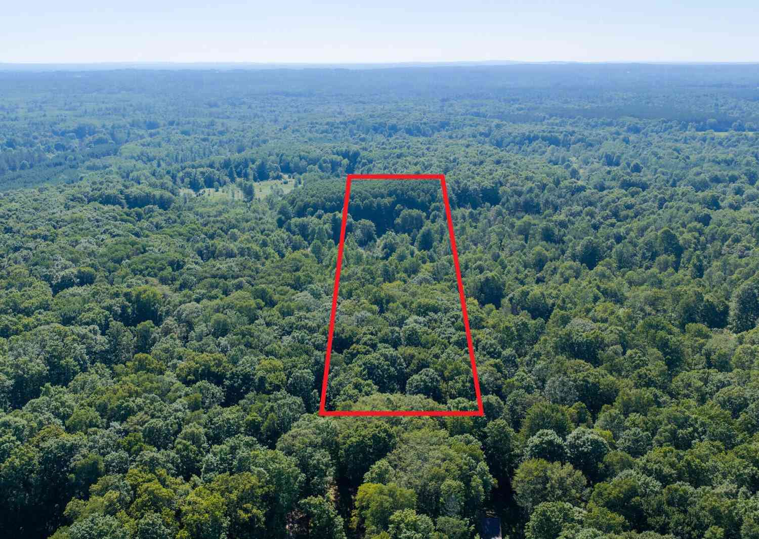 Vacant Land For Sale - 36 N Coe Road<br/> Lake County, Luther, MI 49656