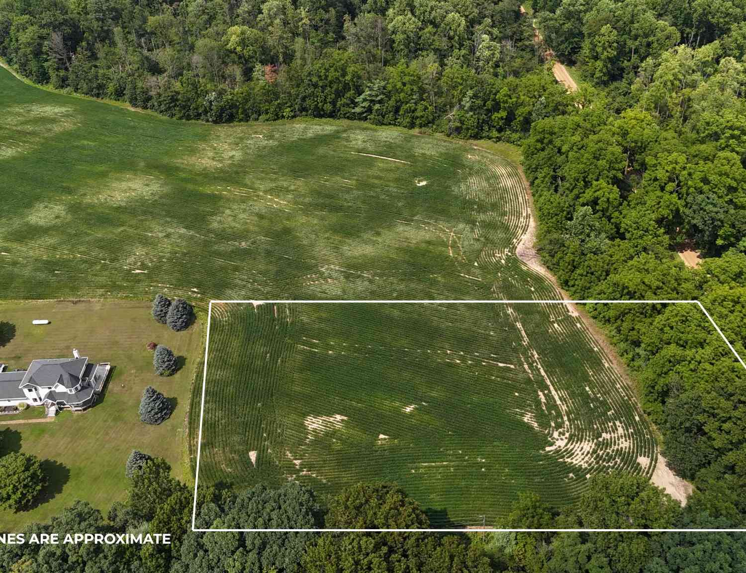 Vacant Land For Sale - VL 56th Street<br/> Van Buren County, Decatur, MI 49045