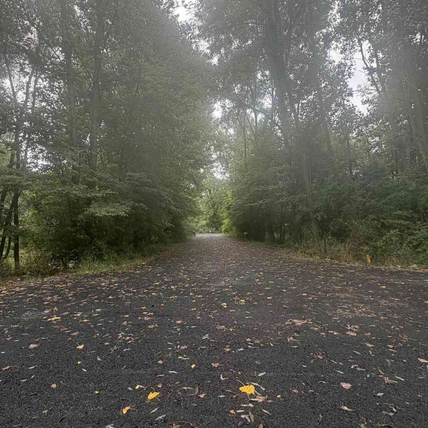 Vacant Land For Sale - Heather Ridge Road #LOT 6 PHASE 2<br/> Calhoun County, Marshall, MI 49068