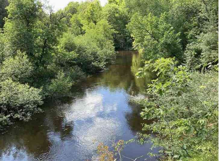Vacant Land For Sale - S Forward Road<br/> Falmouth, MI 49632