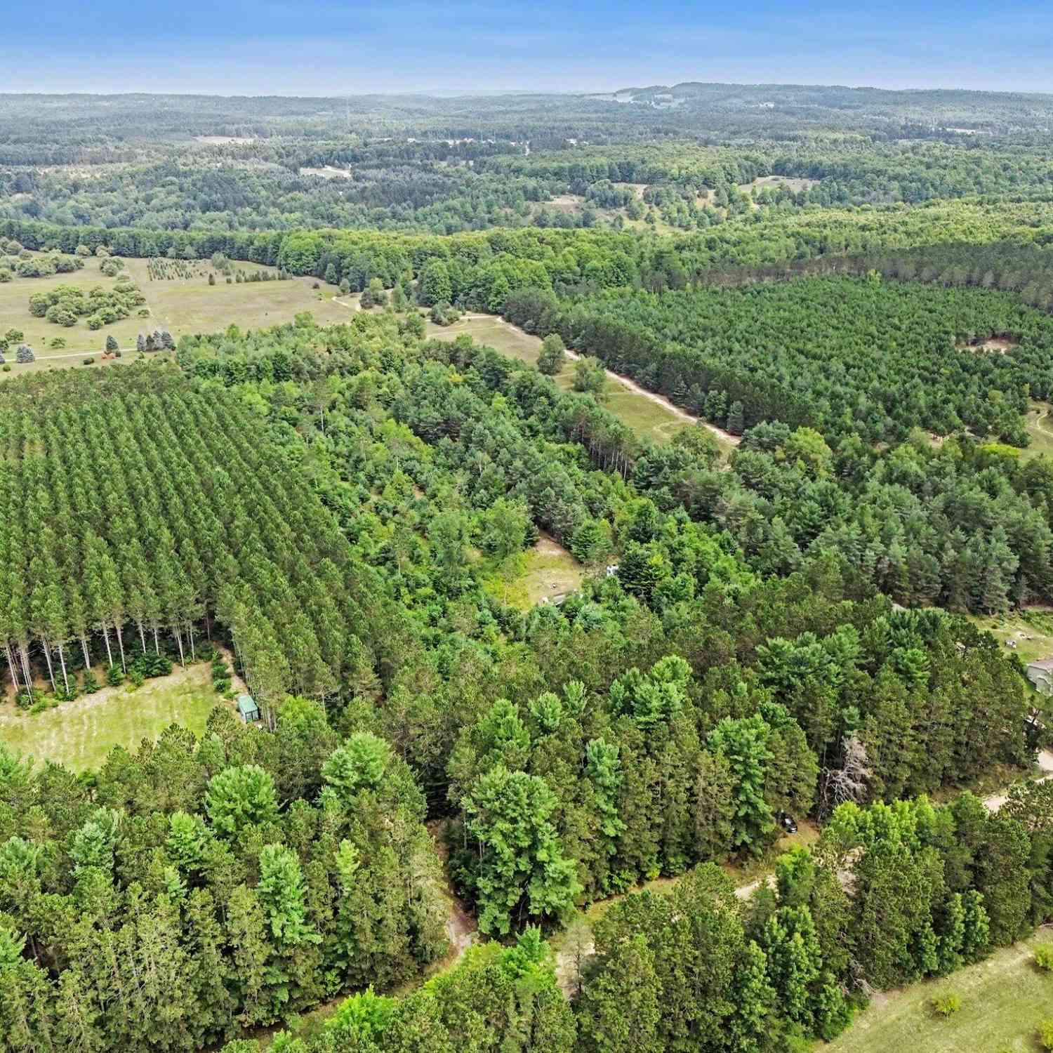 Vacant Land For Sale - 8732 Aylsworth Road<br/> Benzonia, MI 49616