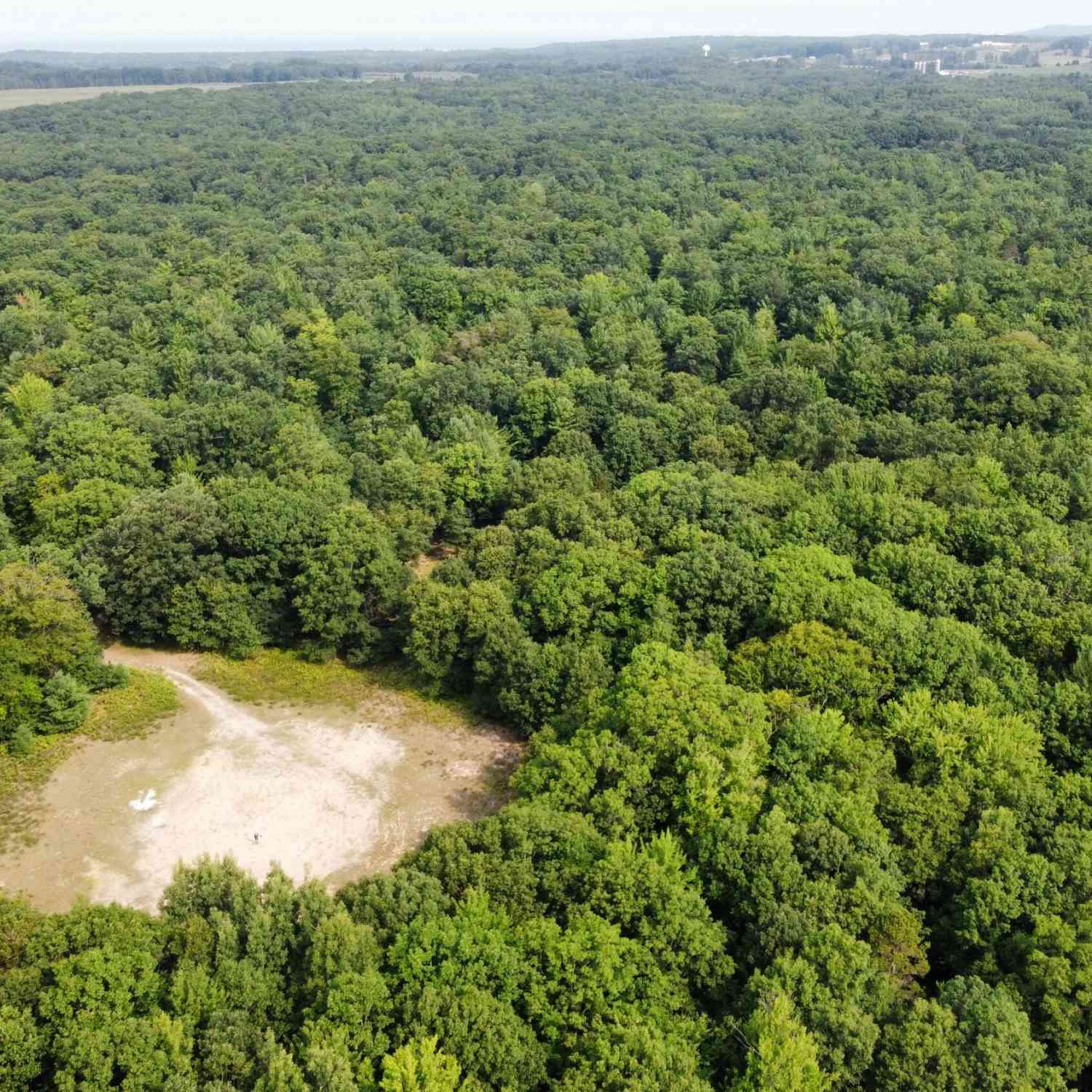 Vacant Land For Sale - Us-31<br/> Manistee, MI 49660