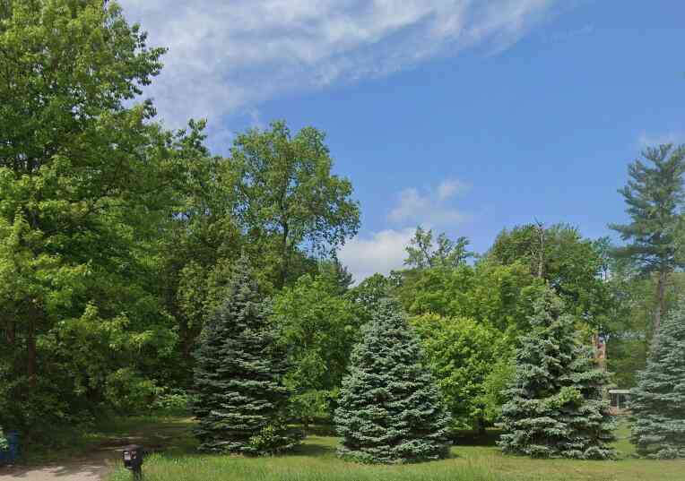 Vacant Land For Sale - 415 Wilson Avenue<br/> Kent County, Grand Rapids, MI 49534