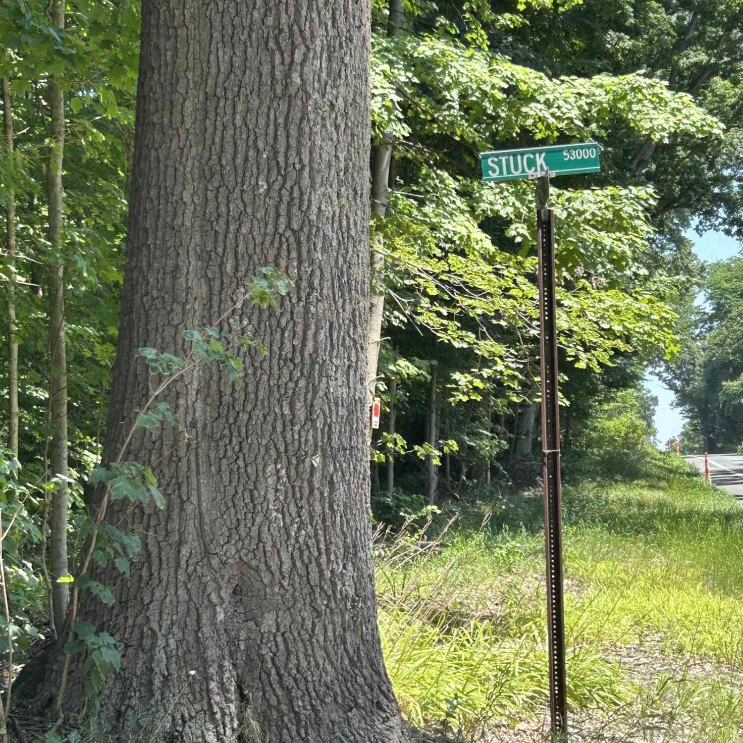 Vacant Land For Sale - Stuck Road<br/> Saint Joseph County, Marcellus, MI 49067