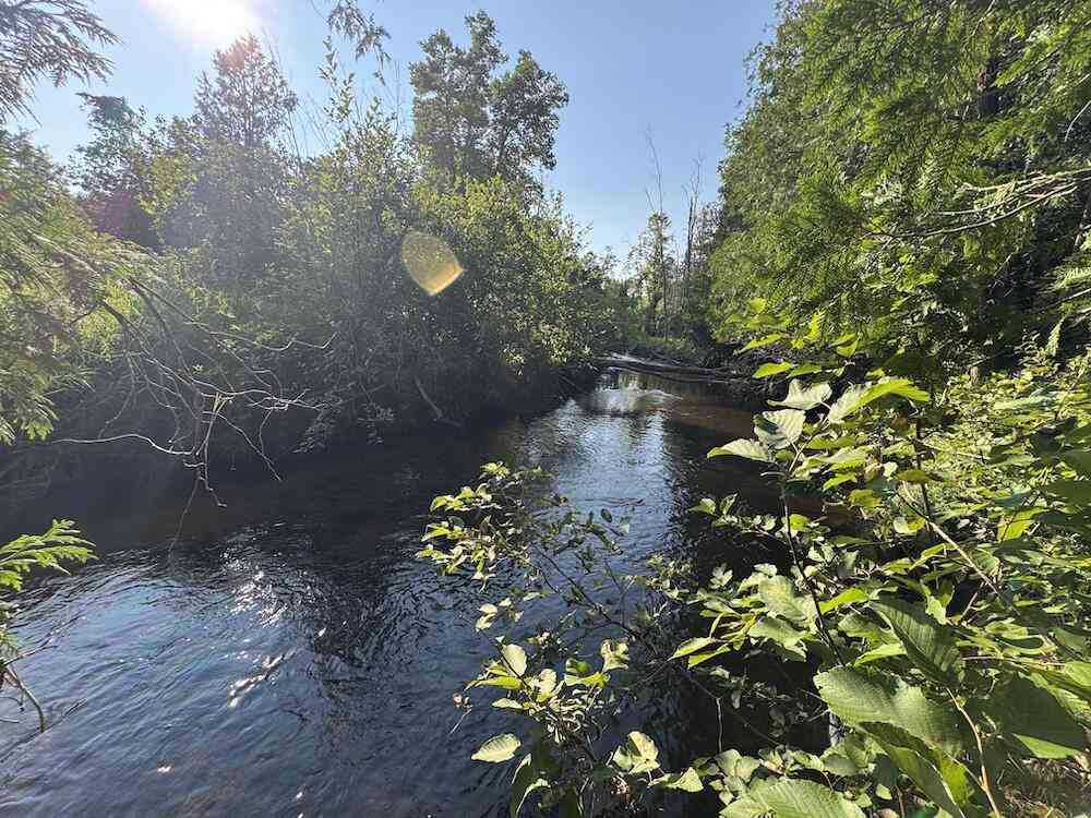 Vacant Land For Sale - E Procunier Road<br/> Mikado, MI 48745