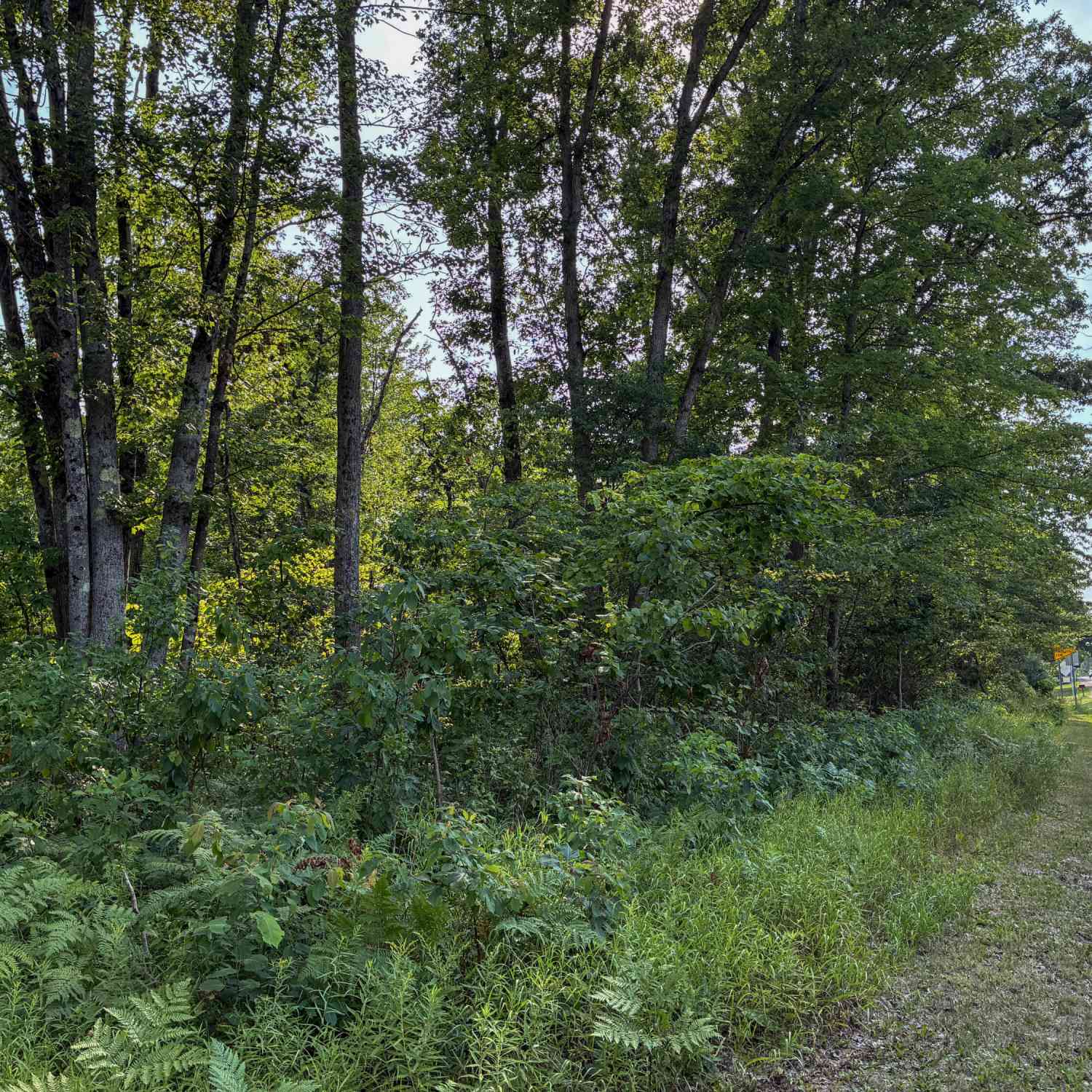 Vacant Land For Sale - V/L E Jackson Street<br/> Newaygo County, White Cloud, MI 49349