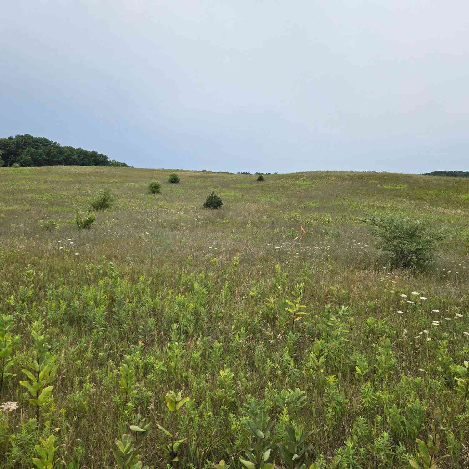 Vacant Land For Sale - PARCEL G Water Road<br/> Oceana County, Hart, MI 49420