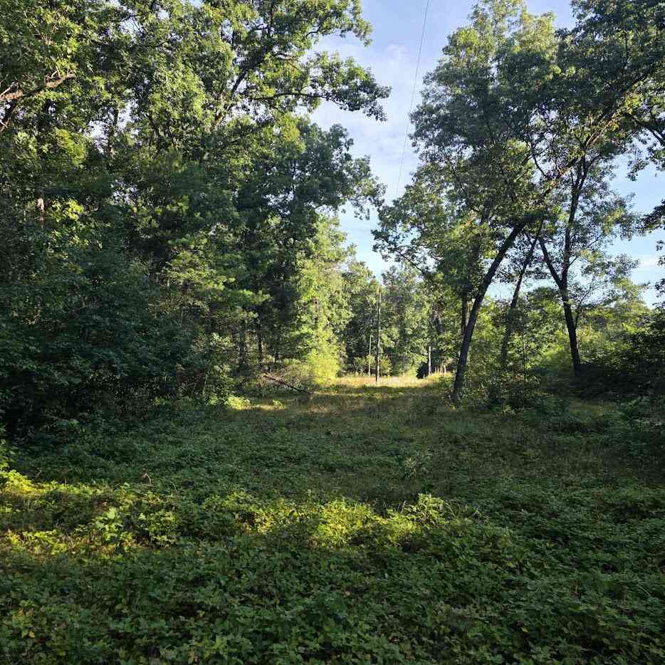 Vacant Land For Sale - S Outaway Drive<br/> Newaygo, MI 49337