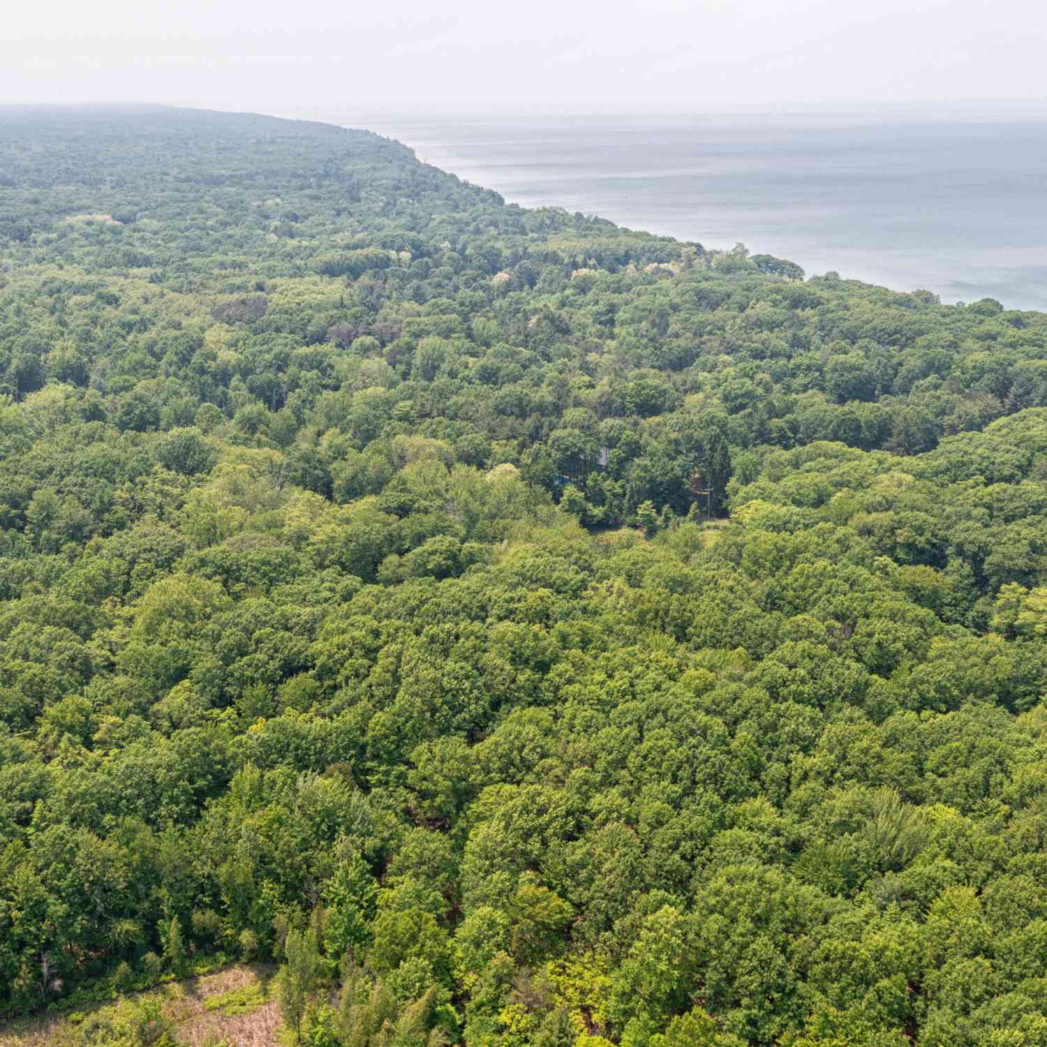 Vacant Land For Sale - 2436 Lakeshore Drive<br/> Allegan County, Fennville, MI 49408