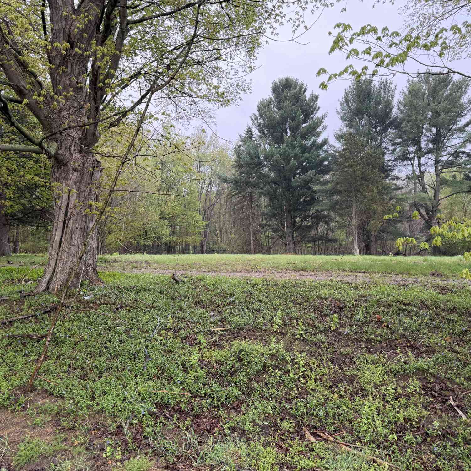 Vacant Land For Sale - LOT 1 Christopher Lane<br/> South Haven, MI 49090