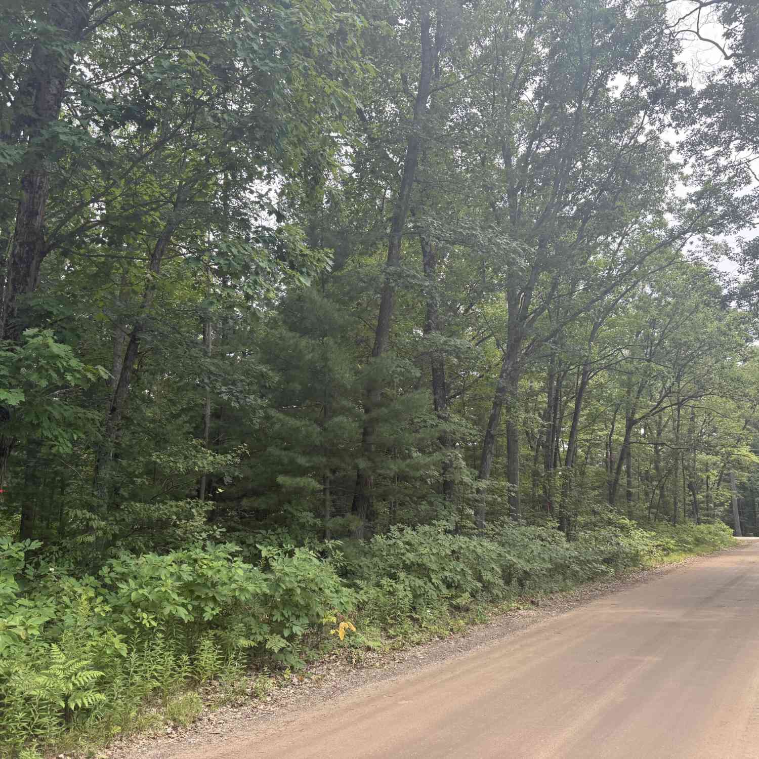 Vacant Land For Sale - 12th Avenue<br/> Newaygo County, Bitely, MI 49309