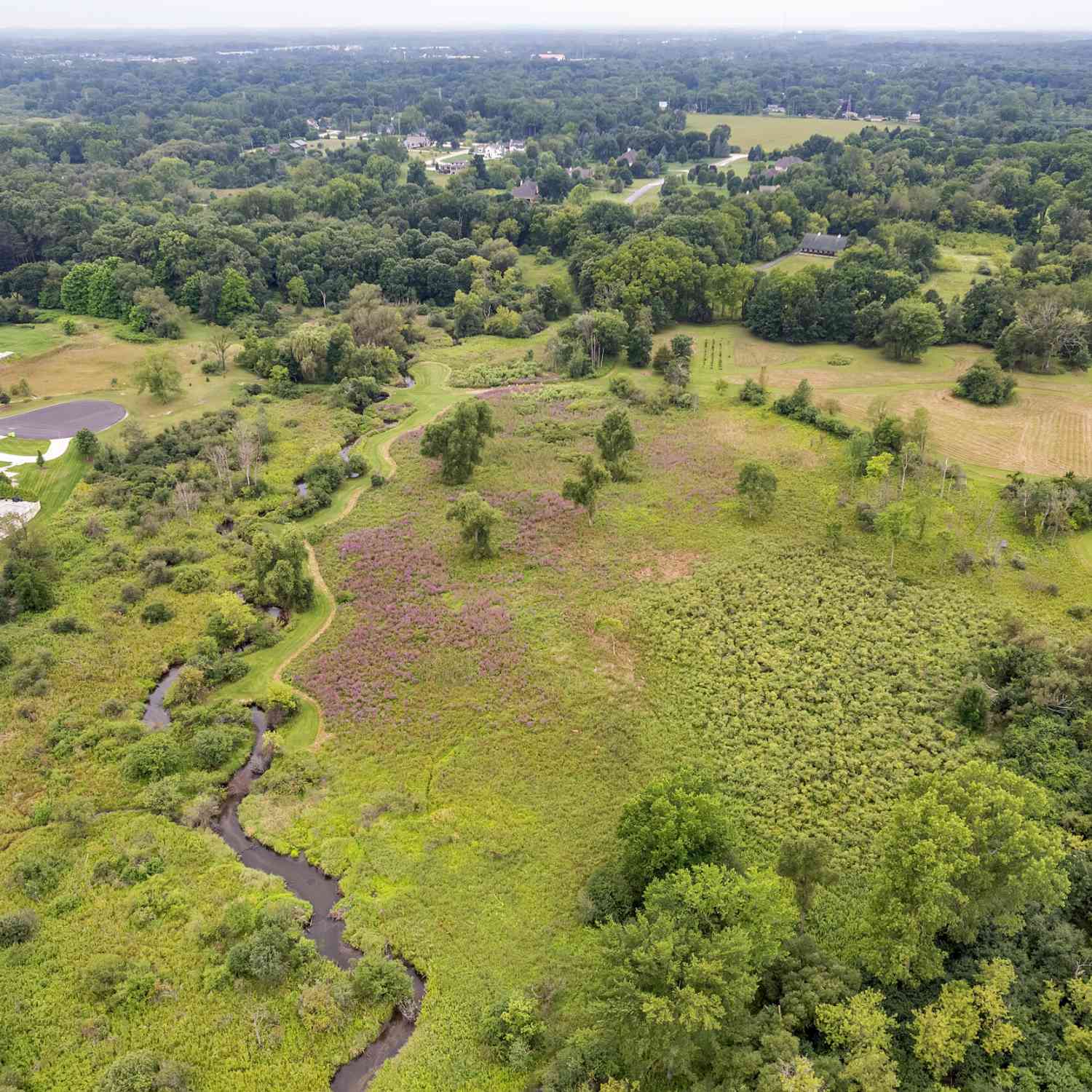 Vacant Land For Sale - Pine Ridge Court<br/> Ann Arbor, MI 48103