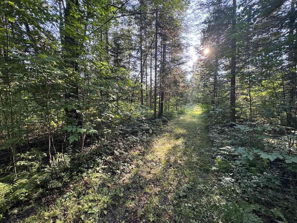Vacant Land For Sale - Channel Lake Road<br/> West Branch, MI 48661