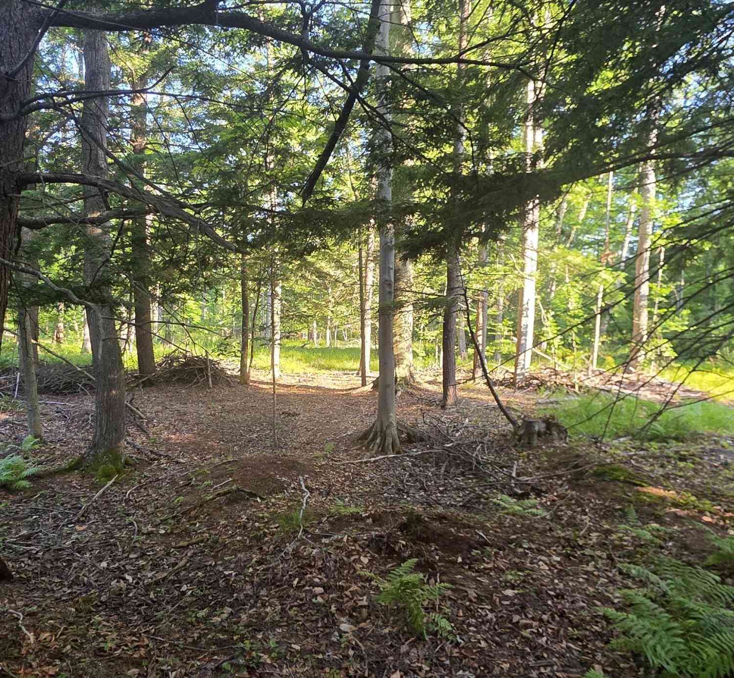 Vacant Land For Sale - 10 ACRES E Free Soil Road<br/> Mason County, Free Soil, MI 49411
