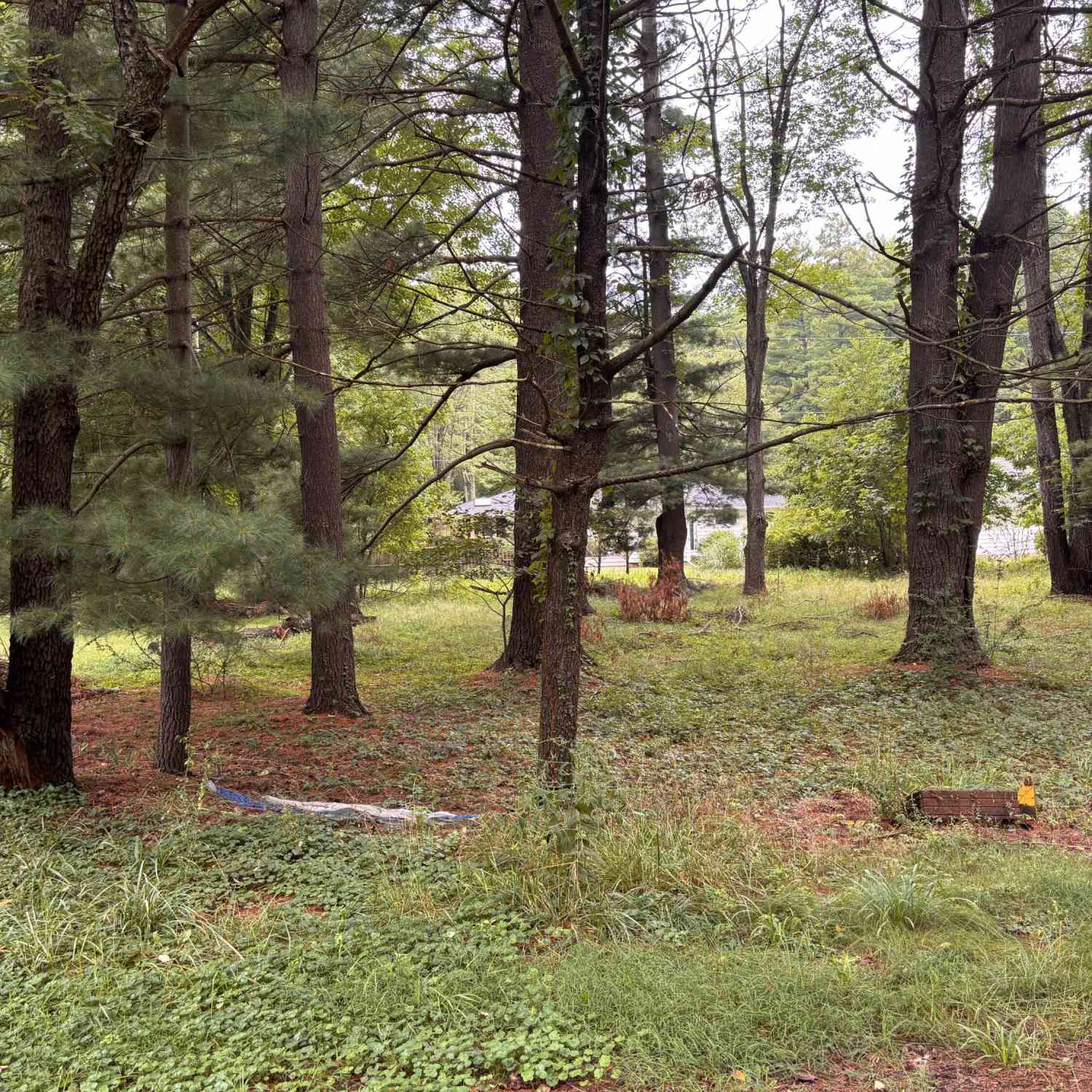 Vacant Land For Sale - V/l Spruce Street<br/> Sawyer, MI 49125