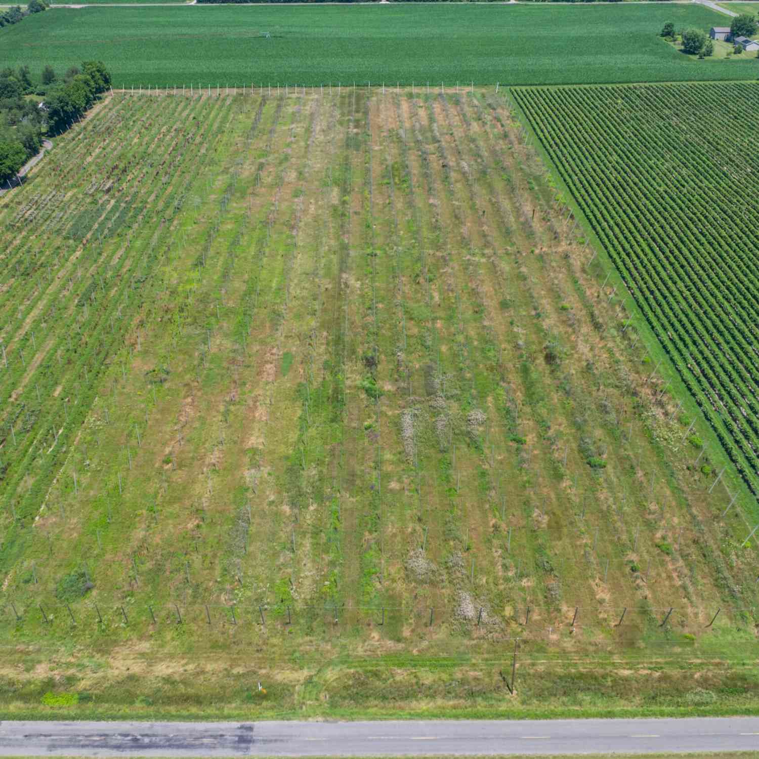 Vacant Land For Sale - 1129 Marrs Road<br/> Baroda, MI 49101