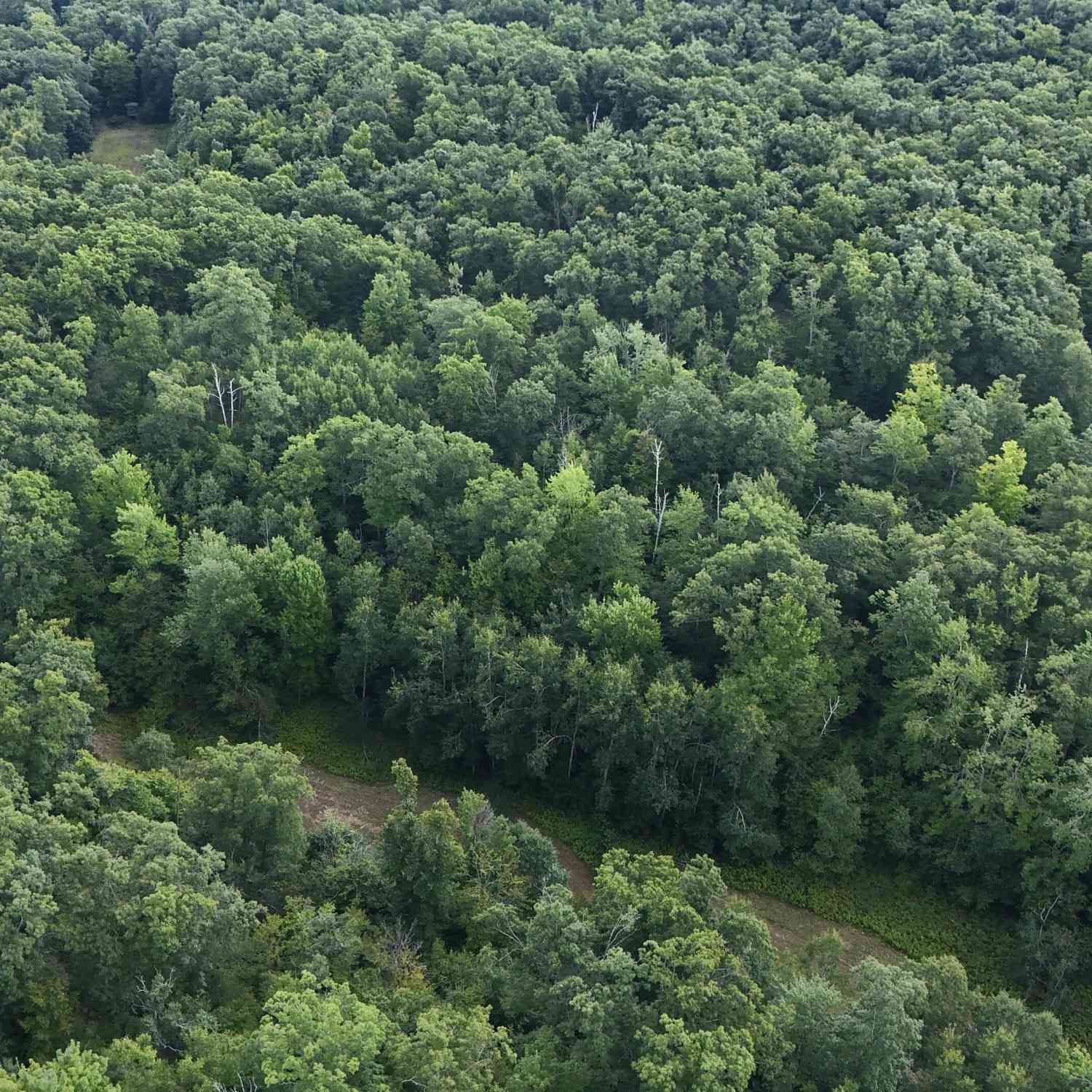 Vacant Land For Sale - Tower Rd Road<br/> Alcona County, Curran, MI 48728