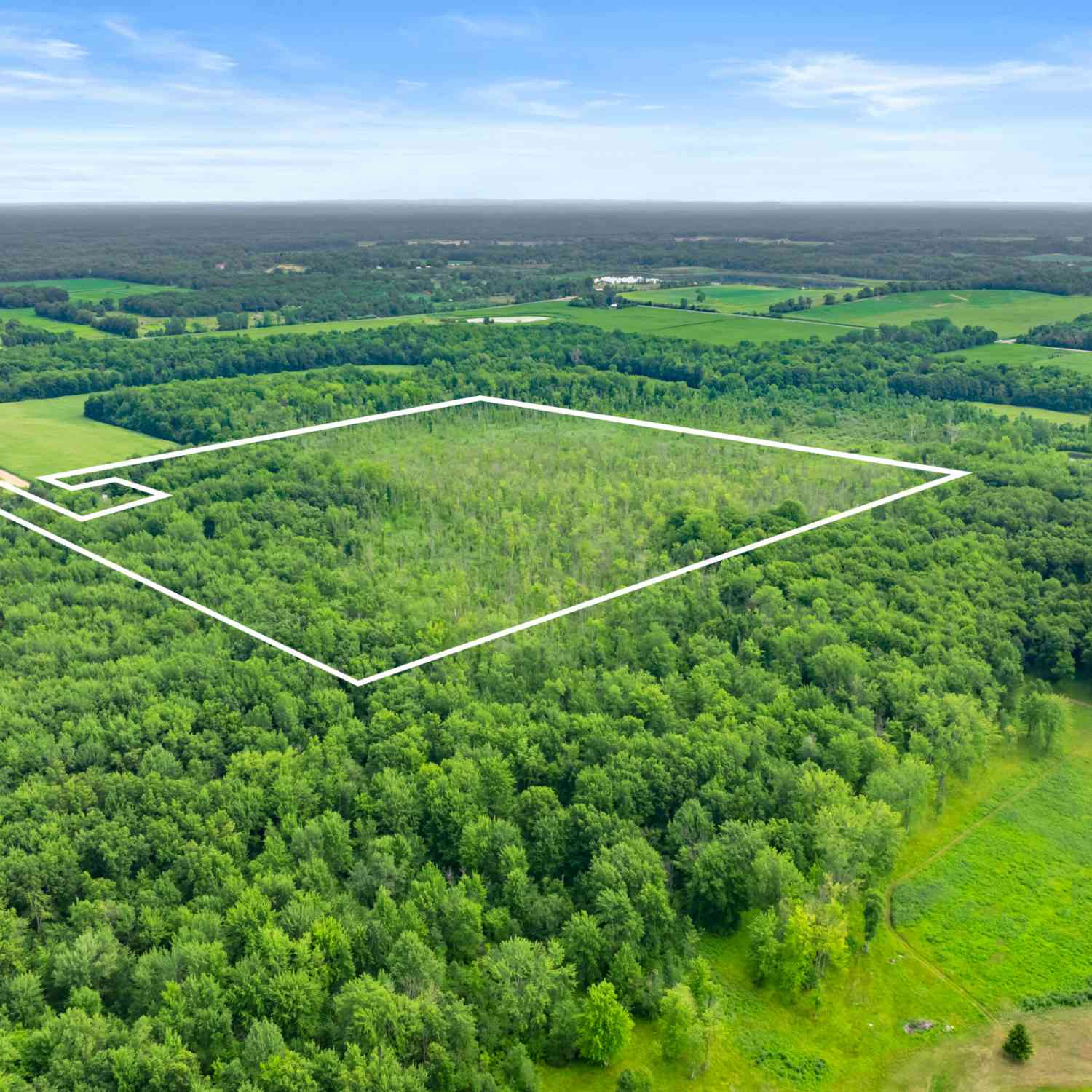 Vacant Land For Sale - 45 ACRES 108th Ave<br/> Allegan, MI 49010