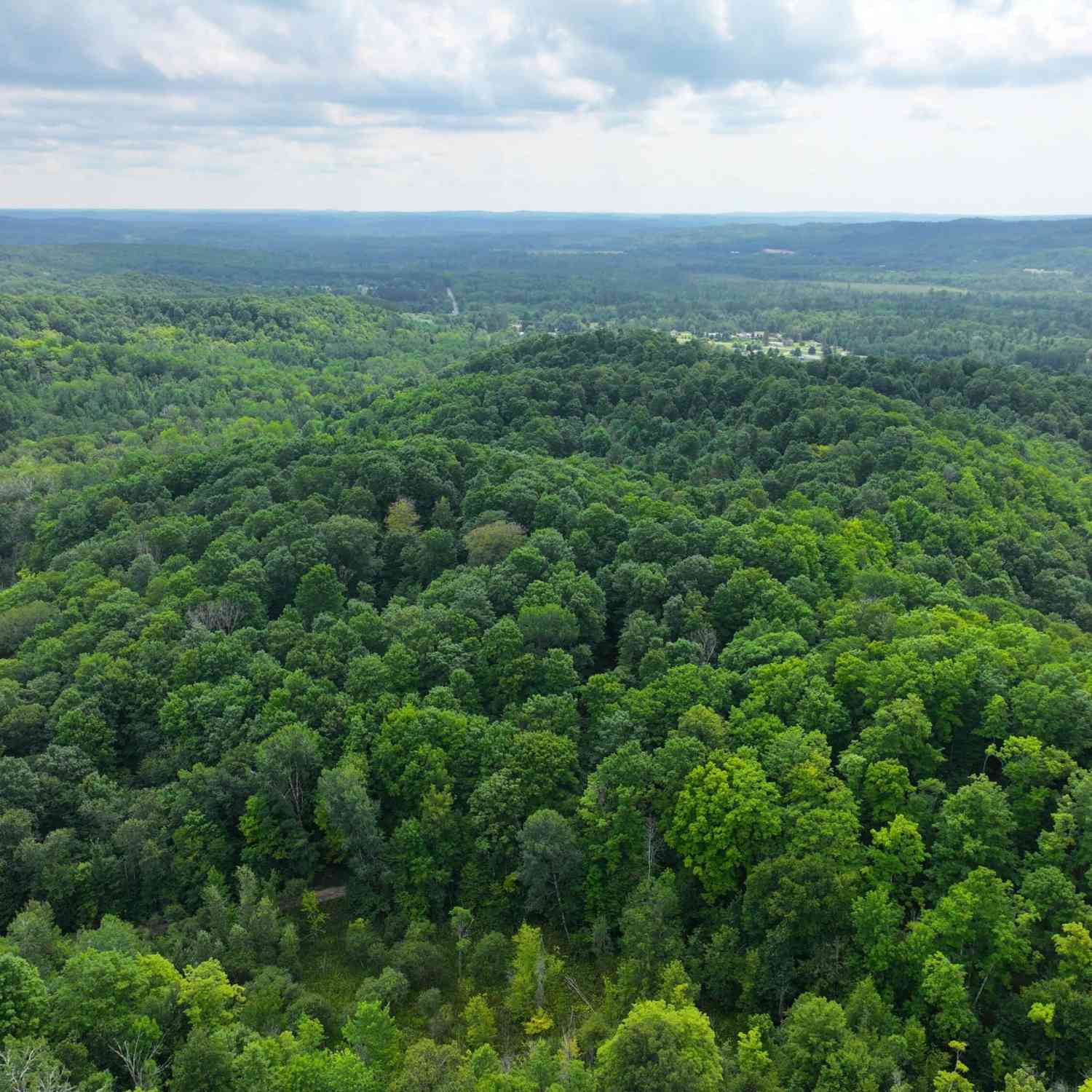 Vacant Land For Sale - V/L 40A Lambdin Road<br/> Antrim County, East Jordan, MI 49727