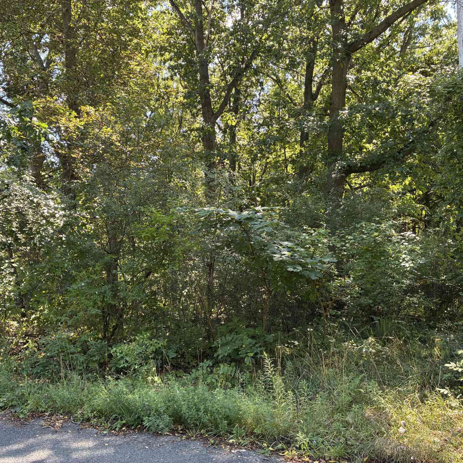 Vacant Land For Sale - Francis Avenue<br/> Kalamazoo, MI 49048