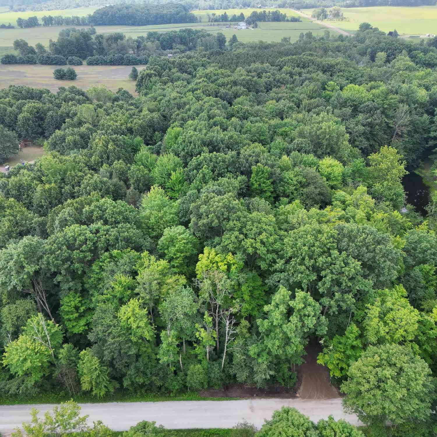 Vacant Land For Sale - 5686 19 Mile Road<br/> Cedar Springs, MI 49319