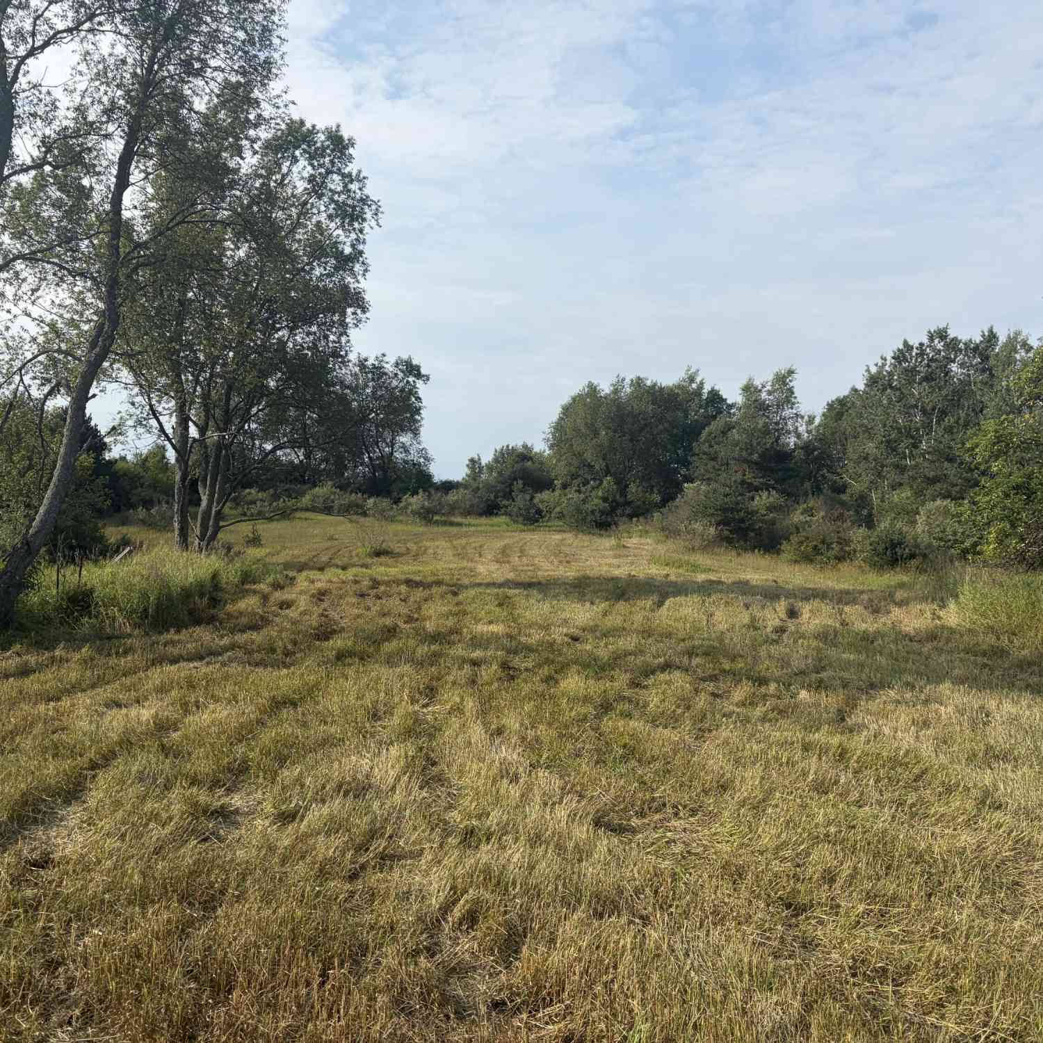 Vacant Land For Sale - 23169 1 Mile Road<br/> Reed City, MI 49677