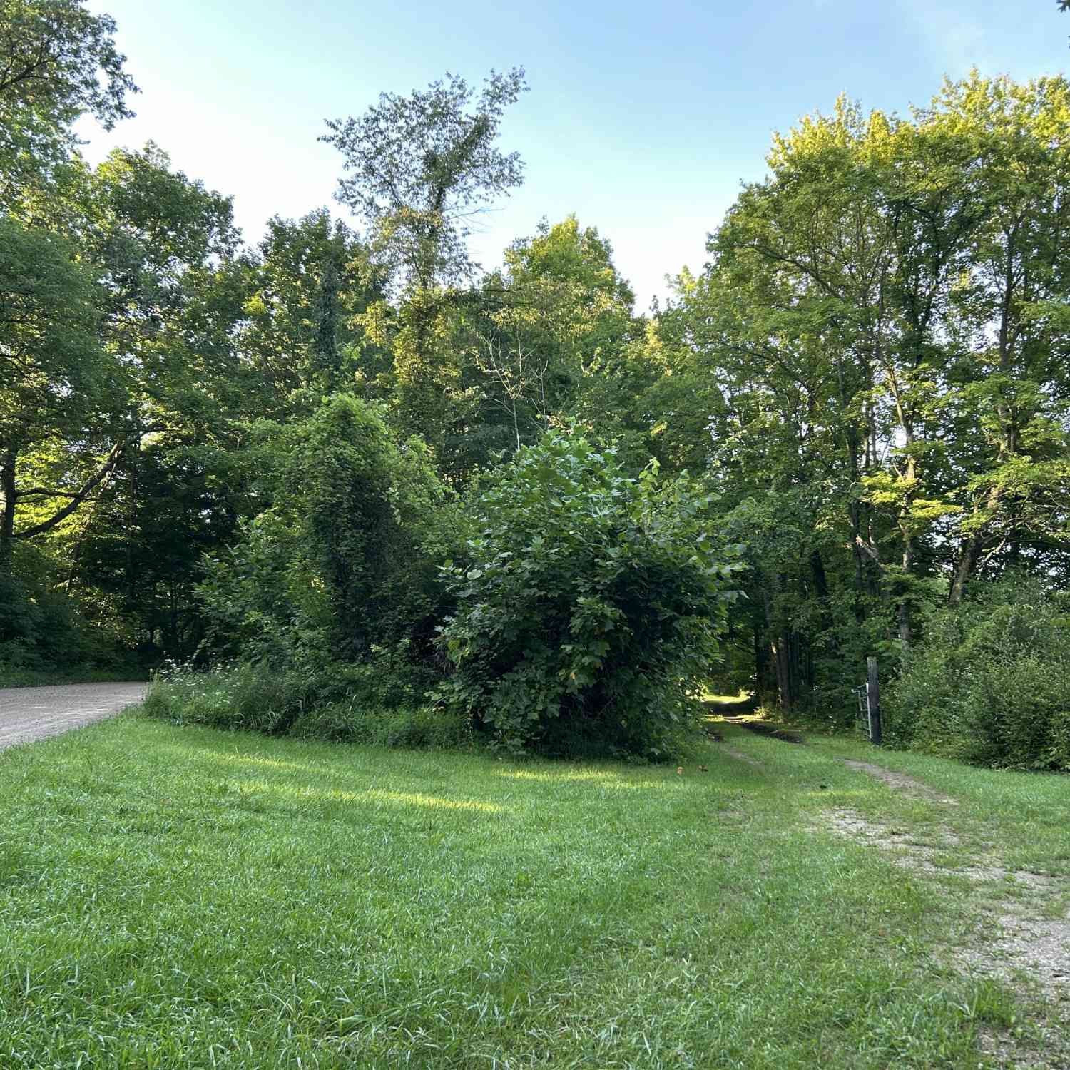Vacant Land For Sale - 5300 Lammers Road<br/> Hastings, MI 49058