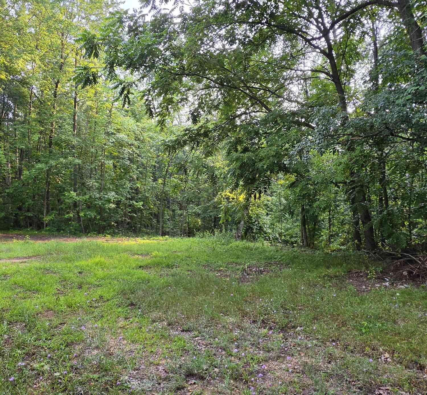 Vacant Land For Sale - 7925 Michigan 18<br/> Clare County, Gladwin, MI 48624