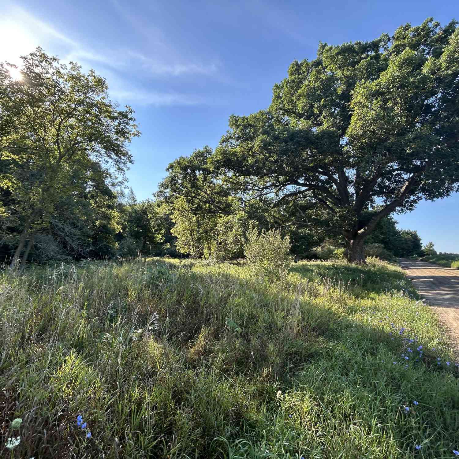 Vacant Land For Sale - Mckinney<br/> Brooklyn, MI 49230