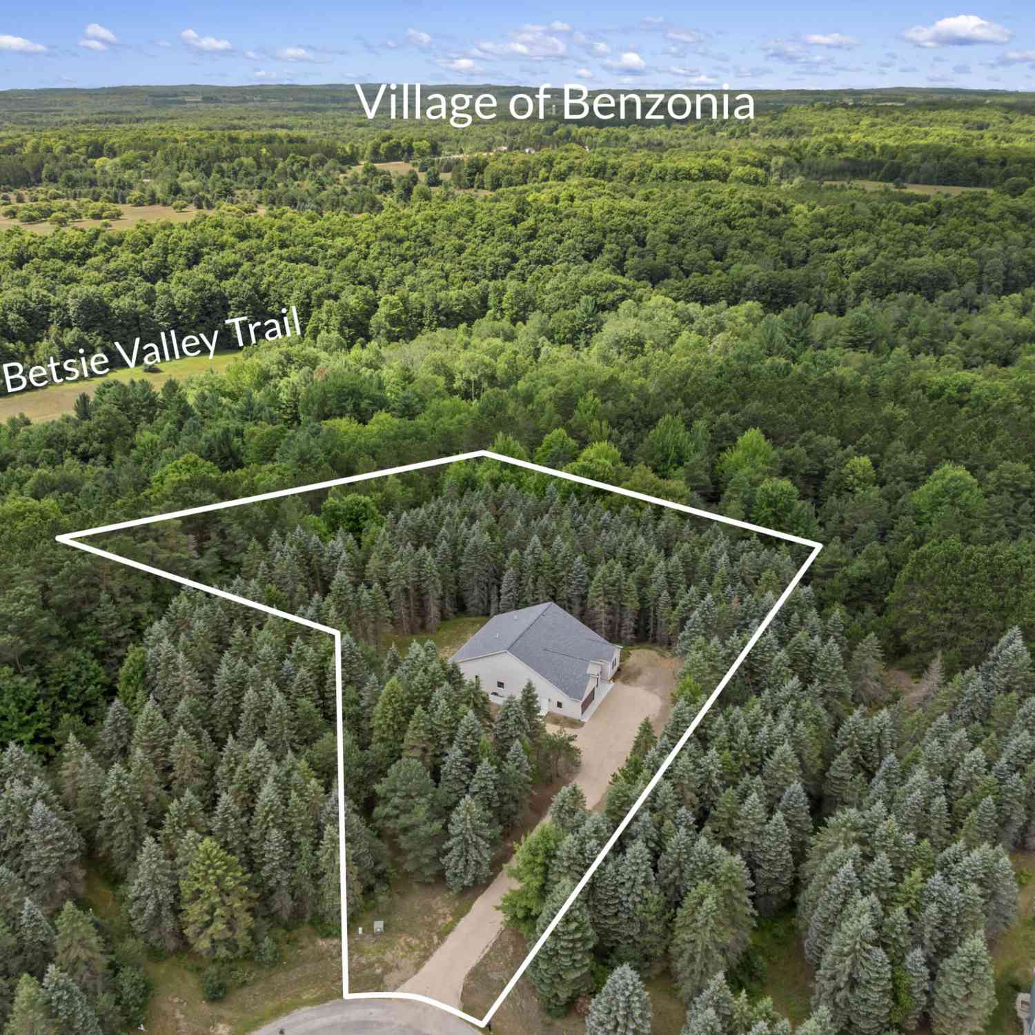 Homes For Sale - 1358 S Lipp Farm Road<br/> Benzie County, Benzonia, MI 49616