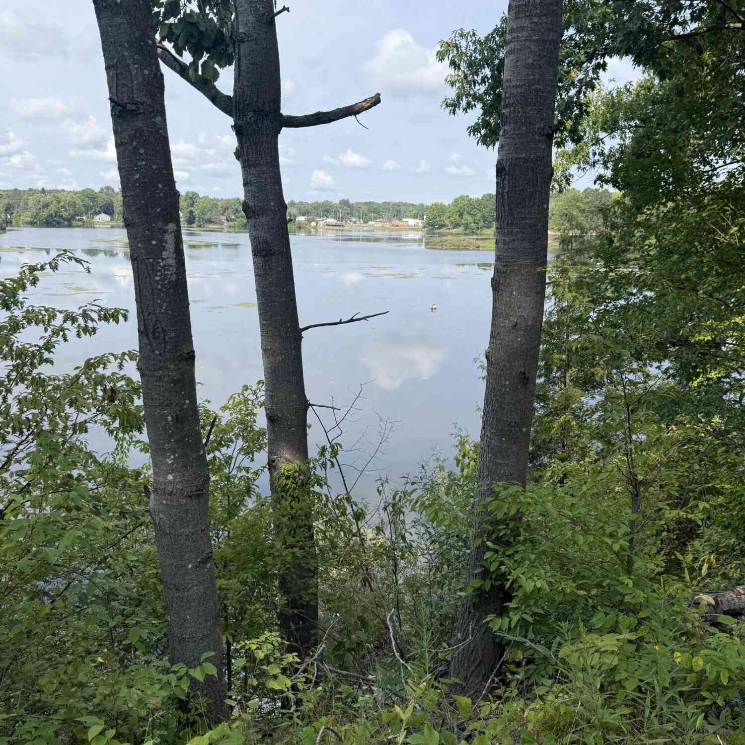 Vacant Land For Sale - 17820 W River Drive<br/> Morley, MI 49336