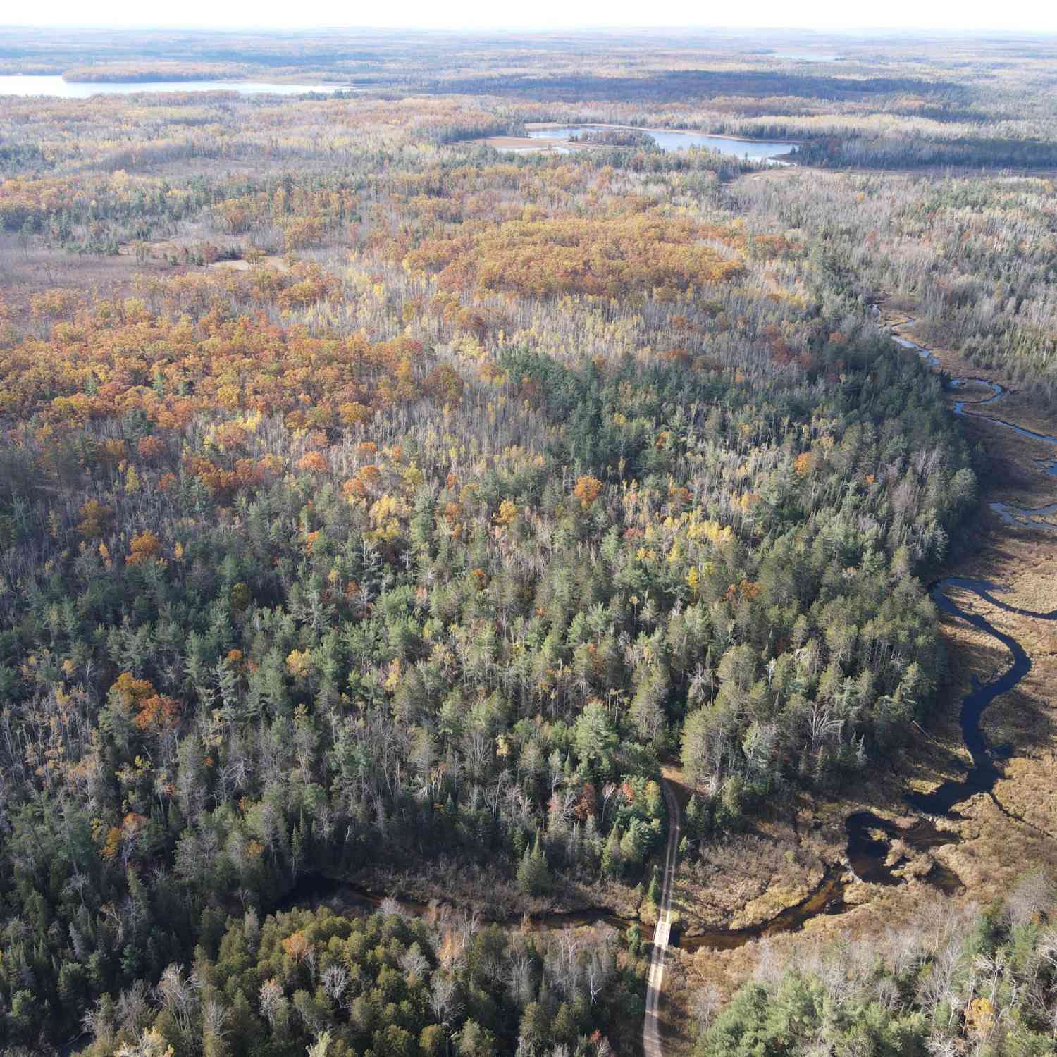 Vacant Land For Sale - 22006 A Bowden Trail<br/> Hillman, MI 49746