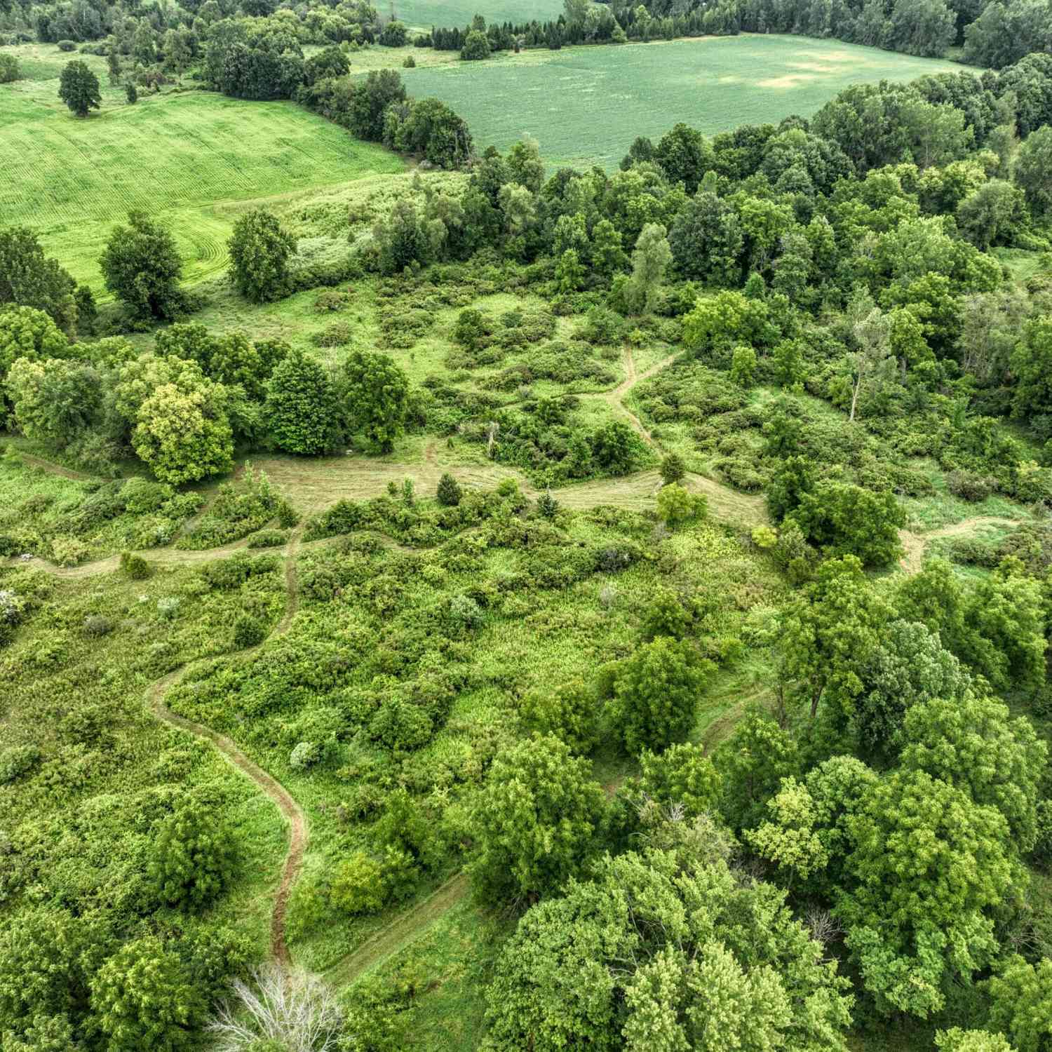 Vacant Land For Sale - VL S Bradley Road<br/> Eaton County, Charlotte, MI 48813