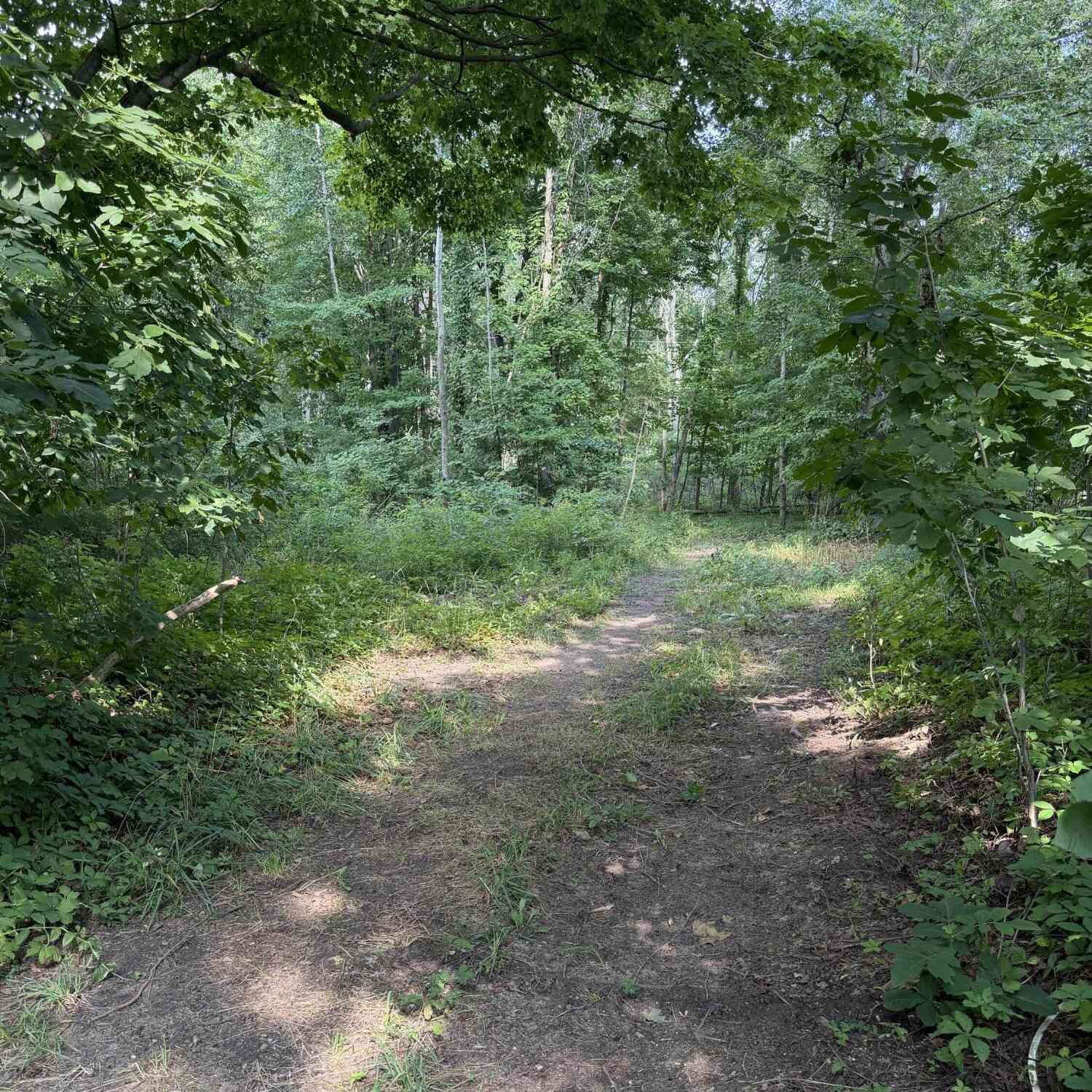 Vacant Land For Sale - 589 48th Street<br/> Grand Junction, MI 49056