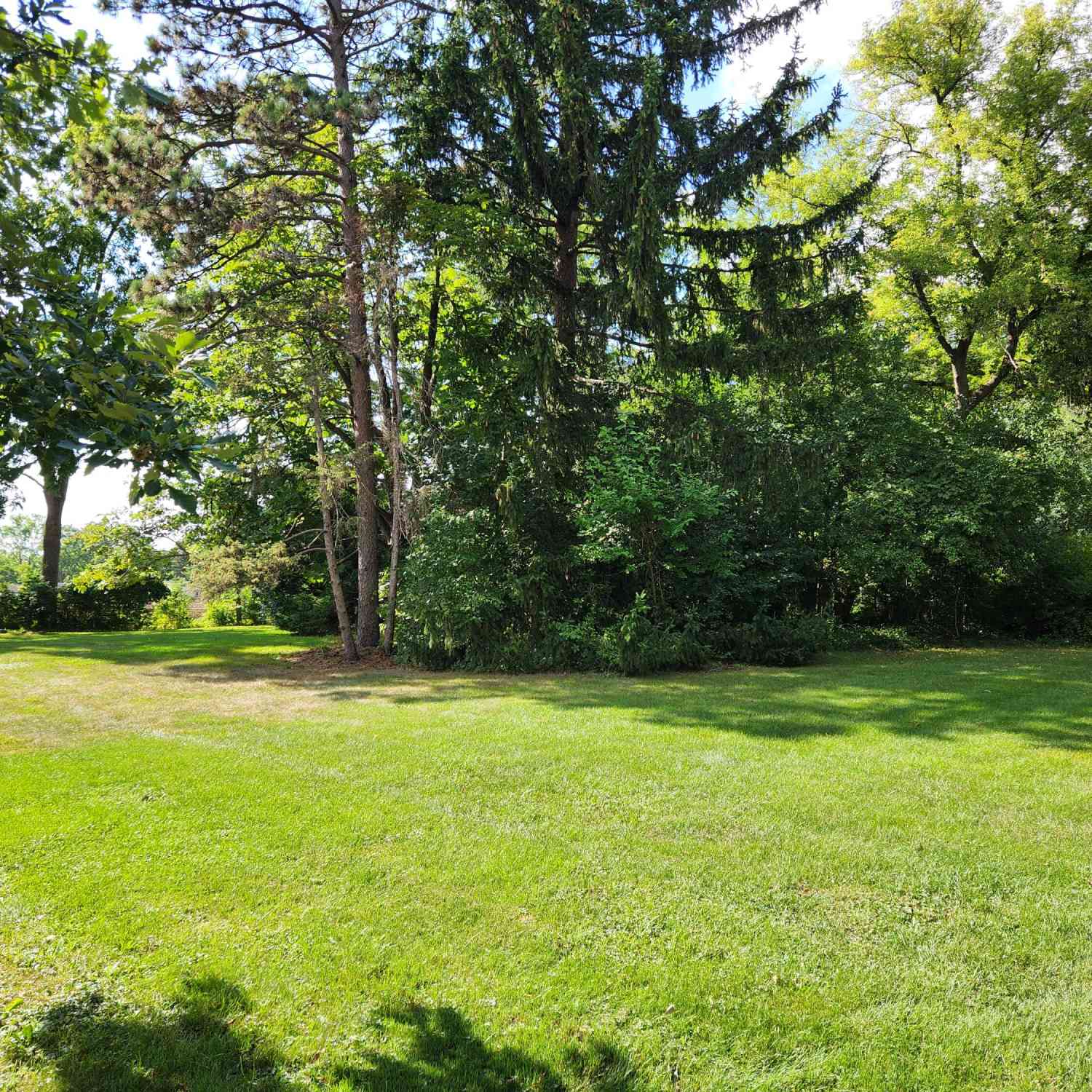 Vacant Land For Sale - 2873 Packard Street<br/> Ann Arbor, MI 48108
