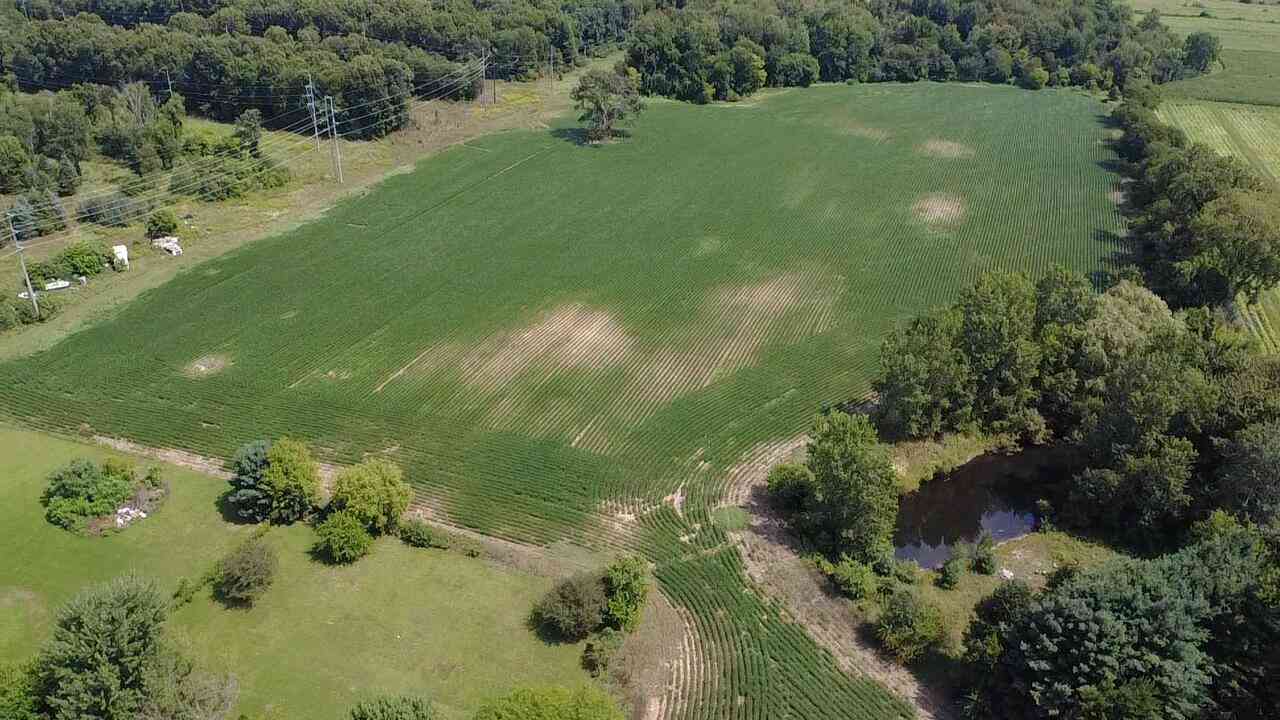 Vacant Land For Sale - 88375 Cr-668<br/> Decatur, MI 49045