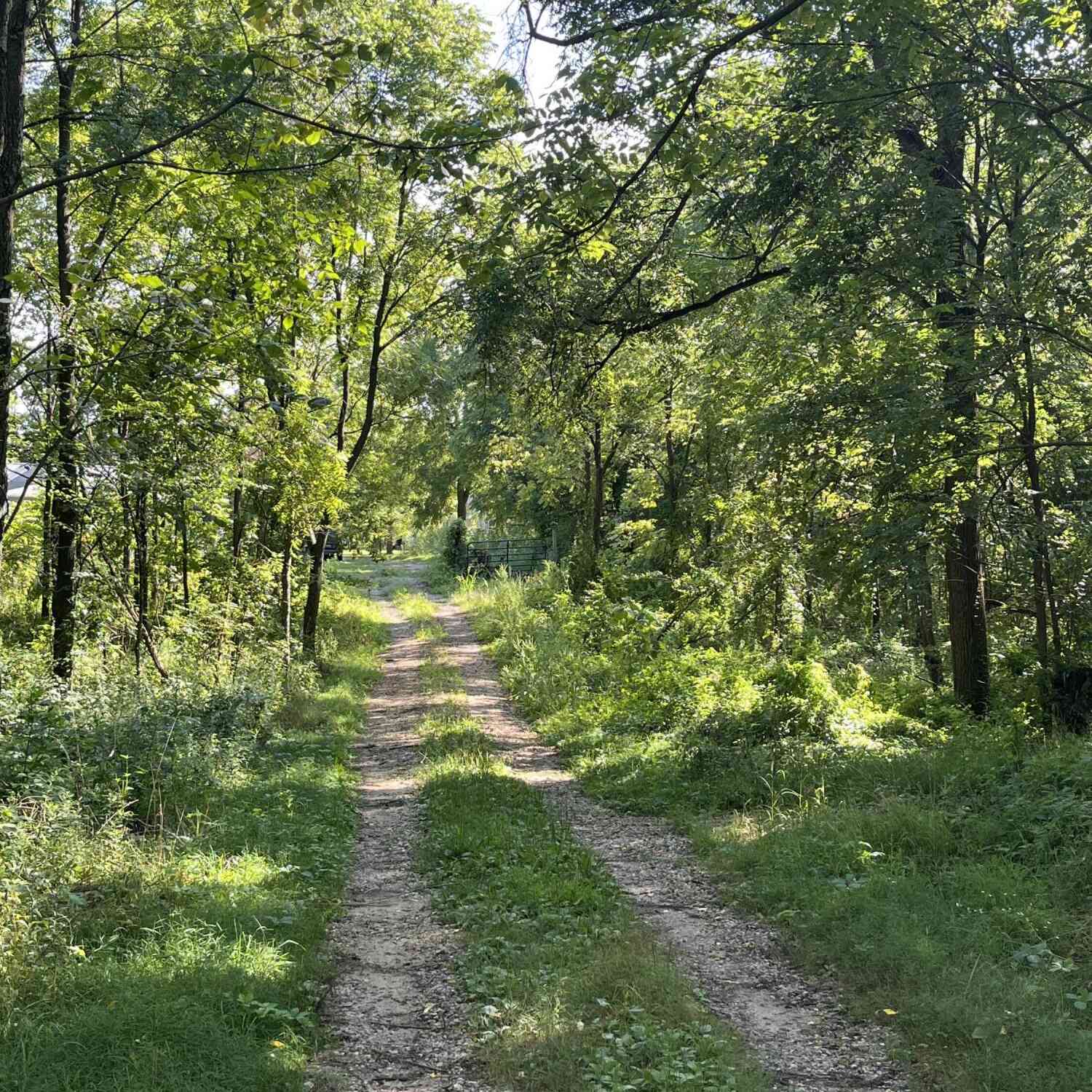 Vacant Land For Sale - 128 Washington Street<br/> Kalamazoo County, Galesburg, MI 49053