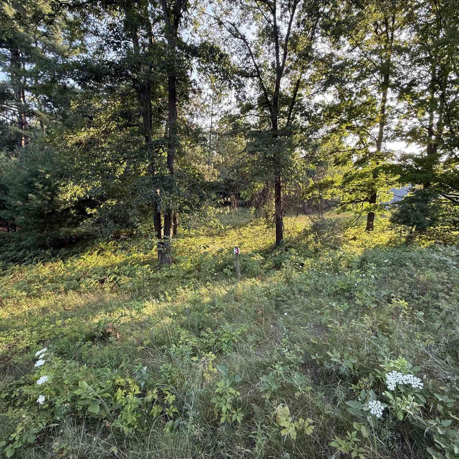 Vacant Land For Sale - 16345 Mitchell Creek Trail<br/> Big Rapids, MI 49307