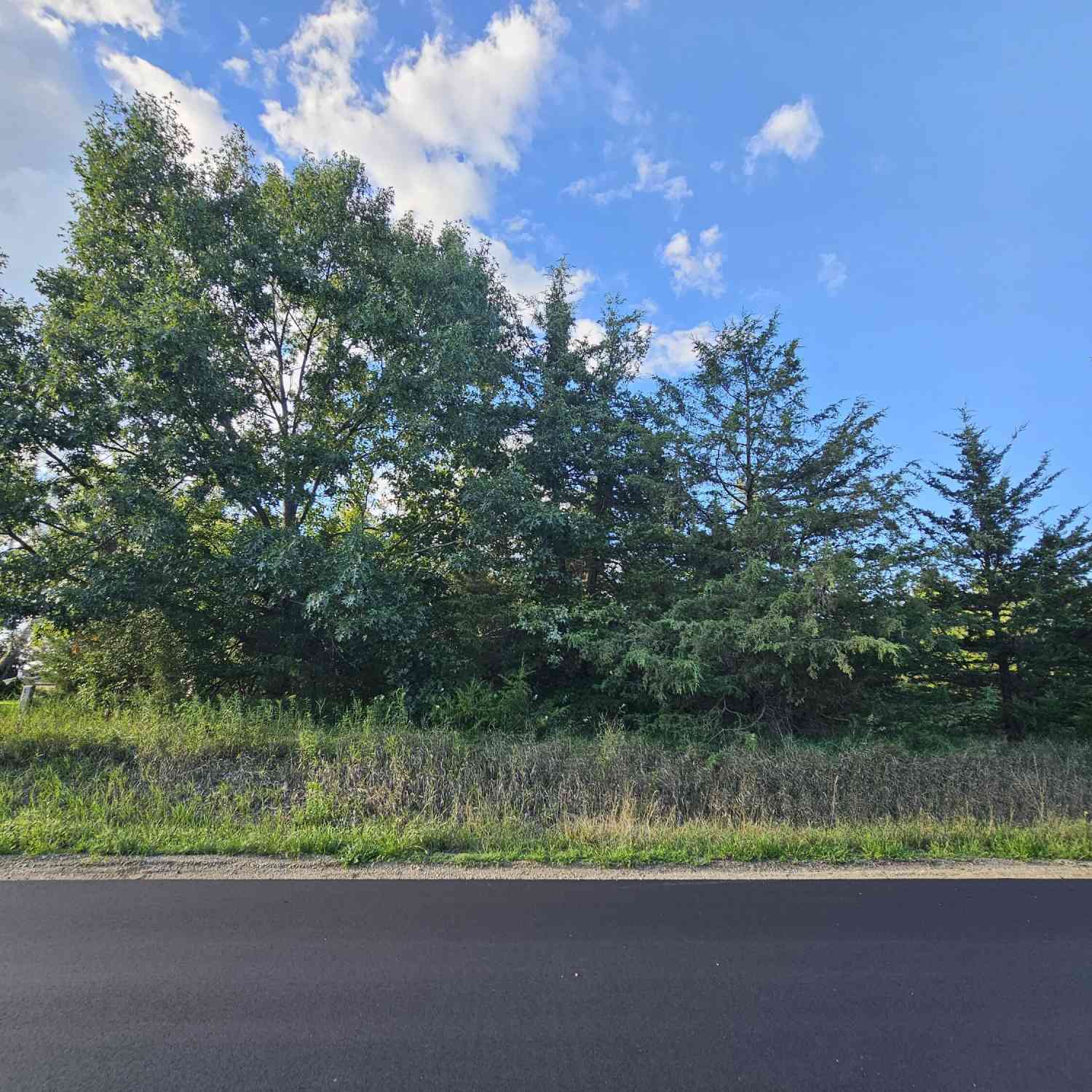 Vacant Land For Sale - 0 V/L Cannes Drive<br/> Brooklyn, MI 49230