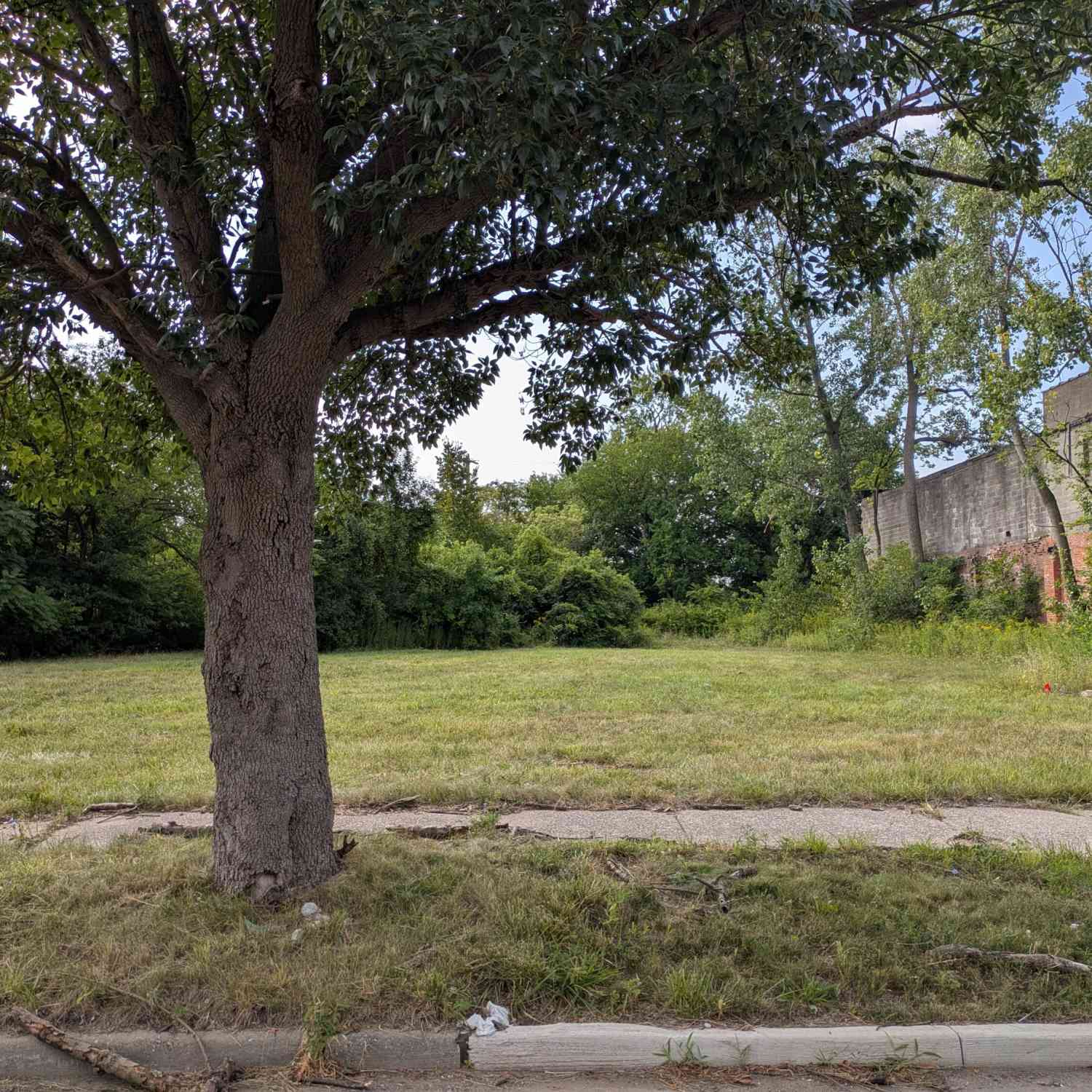 Vacant Land For Sale - 3821 Mcgraw Avenue<br/> Detroit, MI 48208