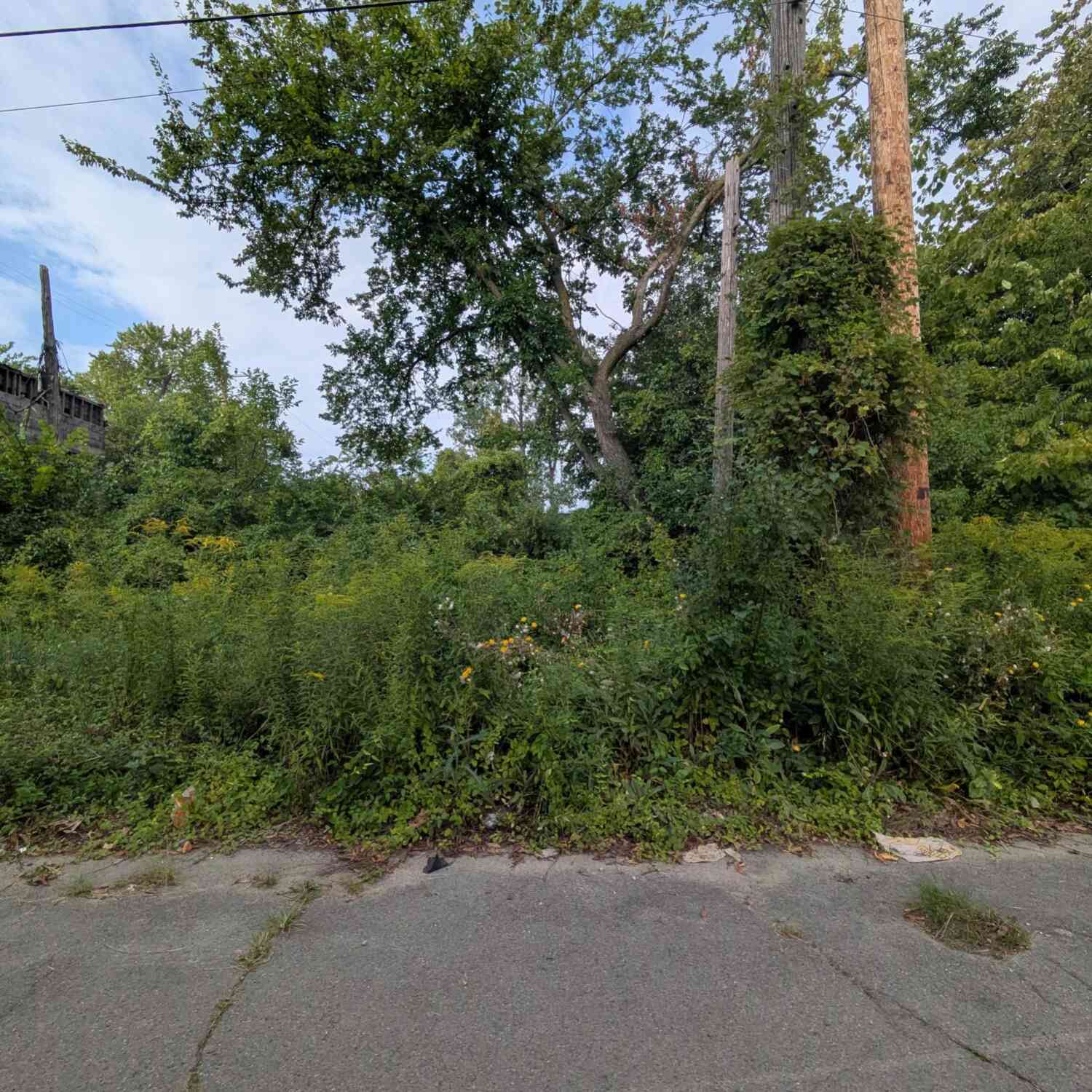 Vacant Land For Sale - 5631 Mckinley Street<br/> Detroit, MI 48208