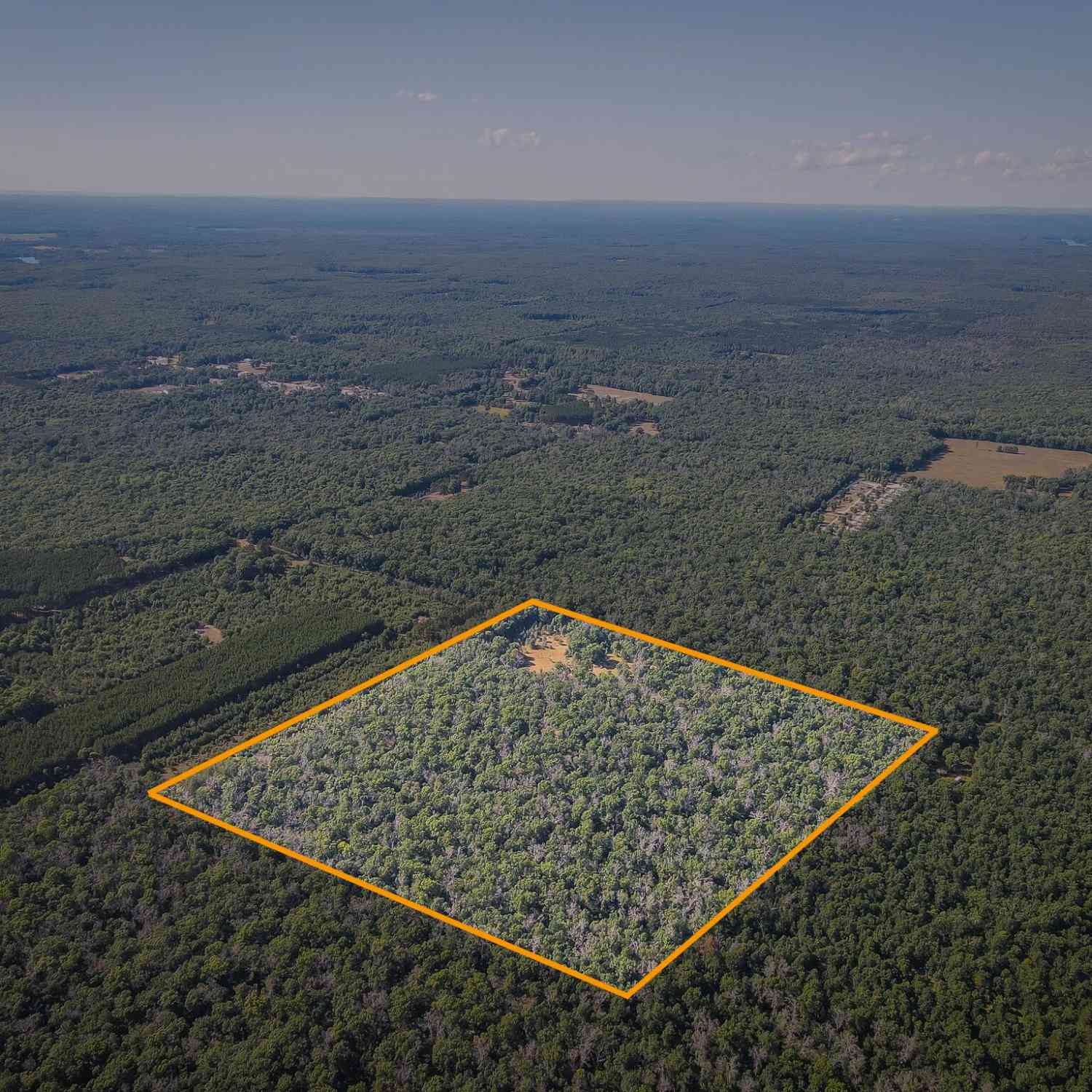 Vacant Land For Sale - W 10 Mile Road<br/> Irons, MI 49644