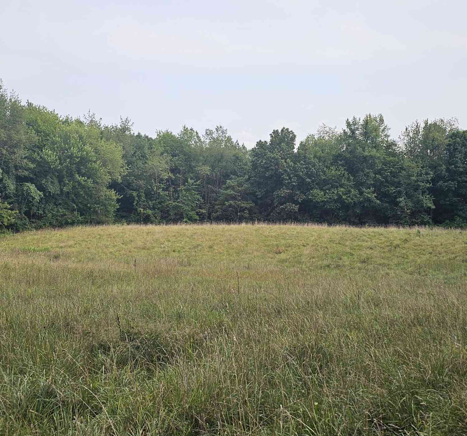 Vacant Land For Sale - 473 Block Road<br/> Coldwater, MI 49036