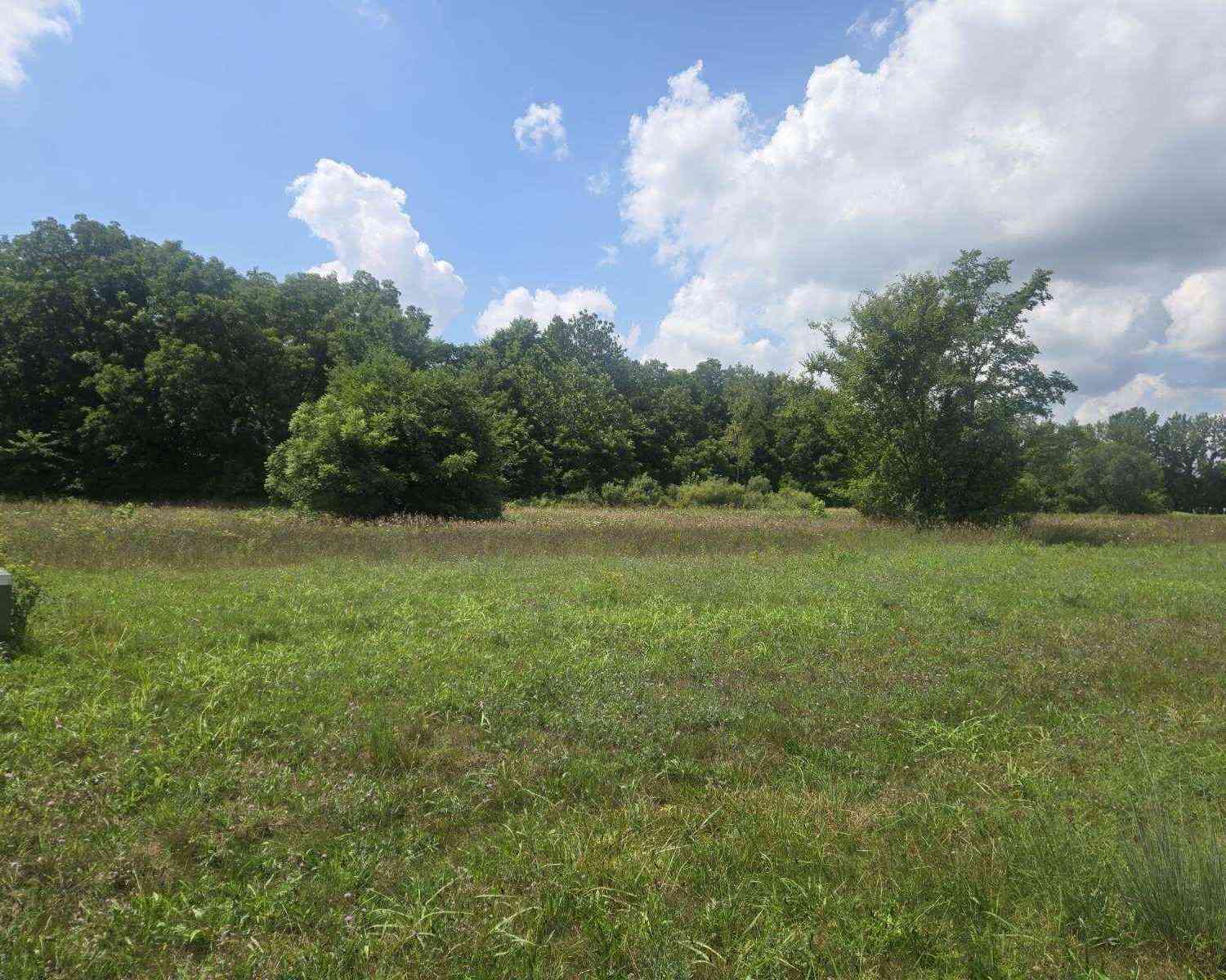 Vacant Land For Sale - V/L 70 Hidden River Dr. #70<br/> Sturgis, MI 49091