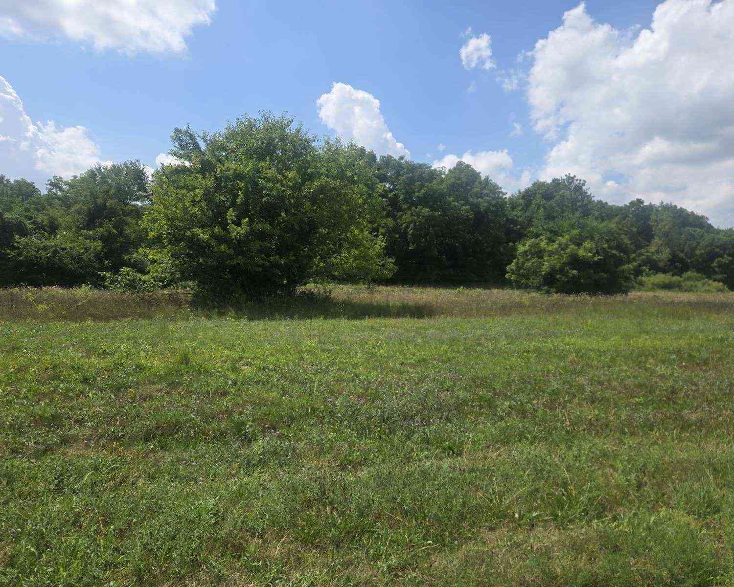 Vacant Land For Sale - V/L 69 Hidden River<br/> Sturgis, MI 49091